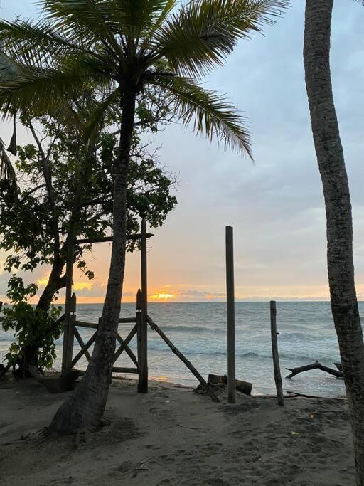 Casa Manglar