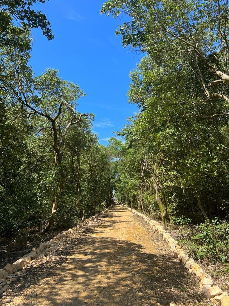 Casa Manglar