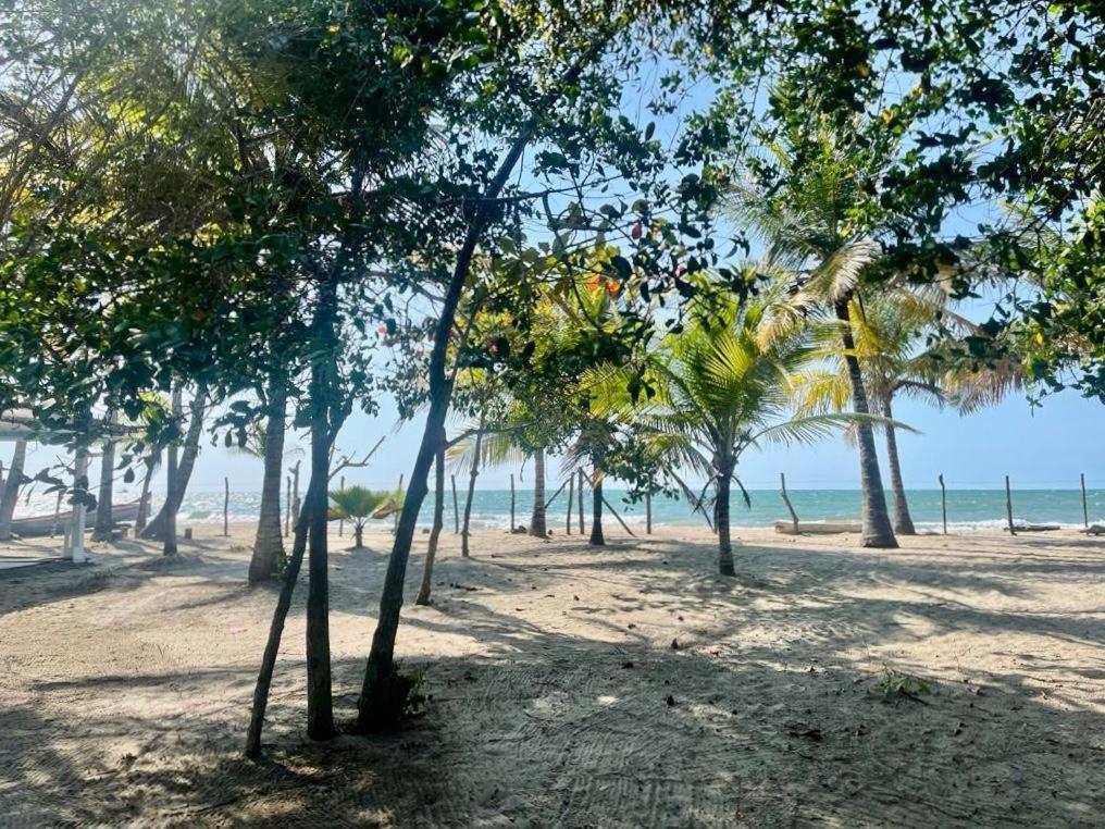 Casa Manglar
