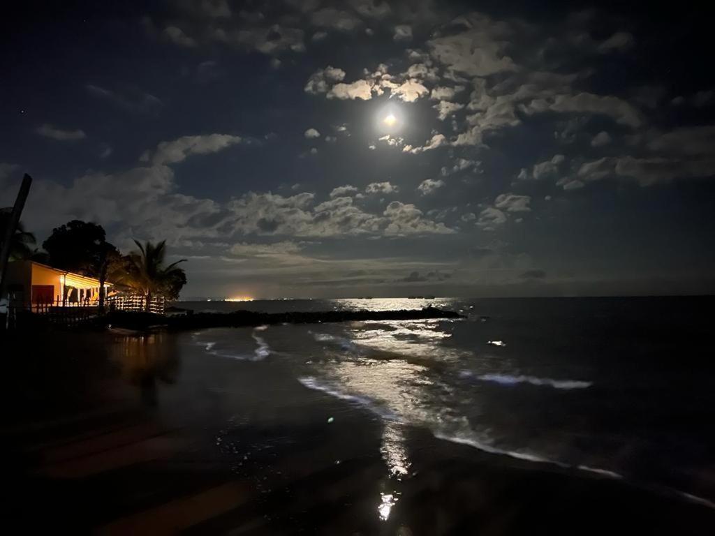 Casa Manglar