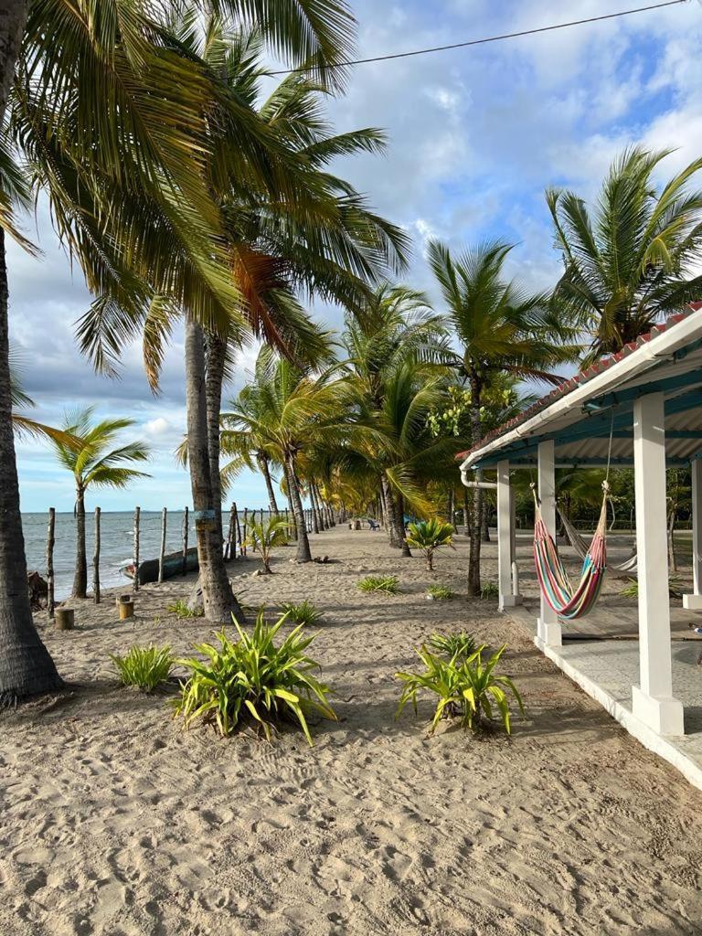 Casa Manglar