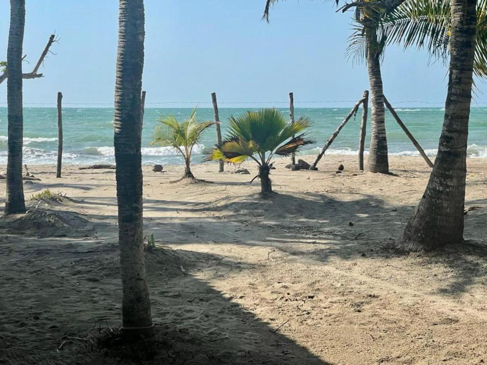 Casa Manglar