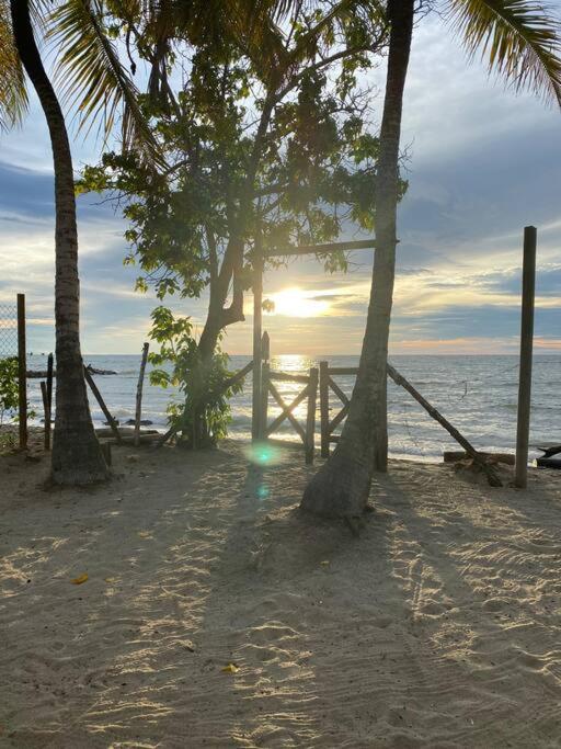 Casa Manglar
