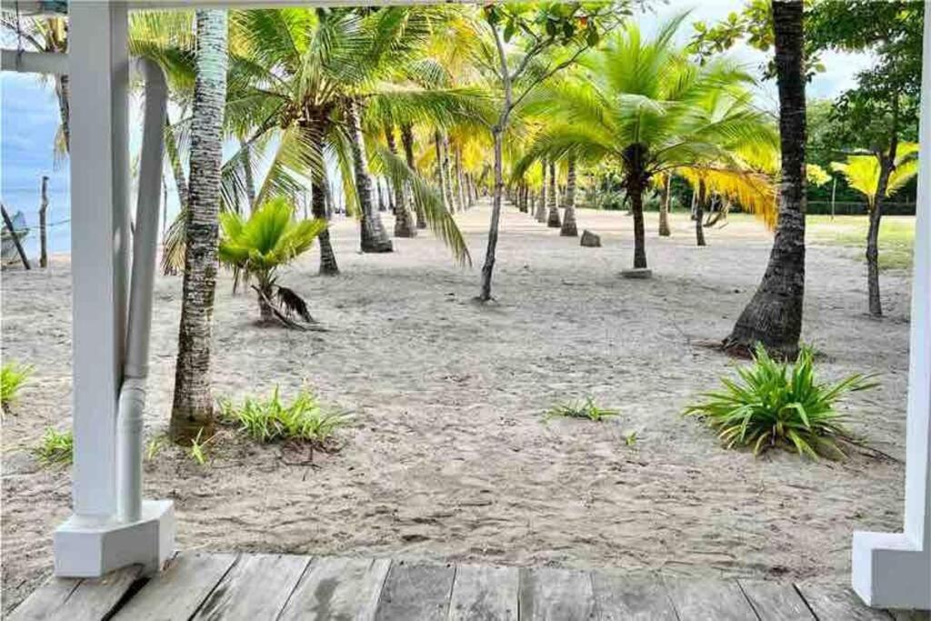 Casa Manglar