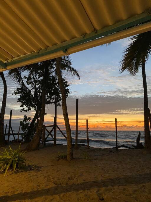 Casa Manglar