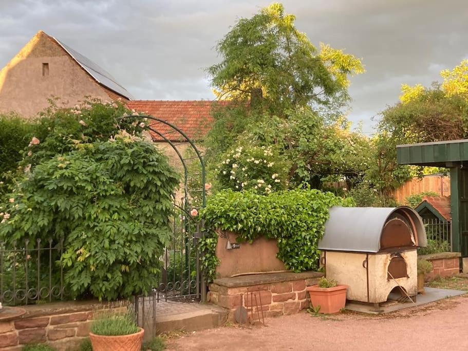 Charmante, großzügige Ferienwohnung Villa Fleurie