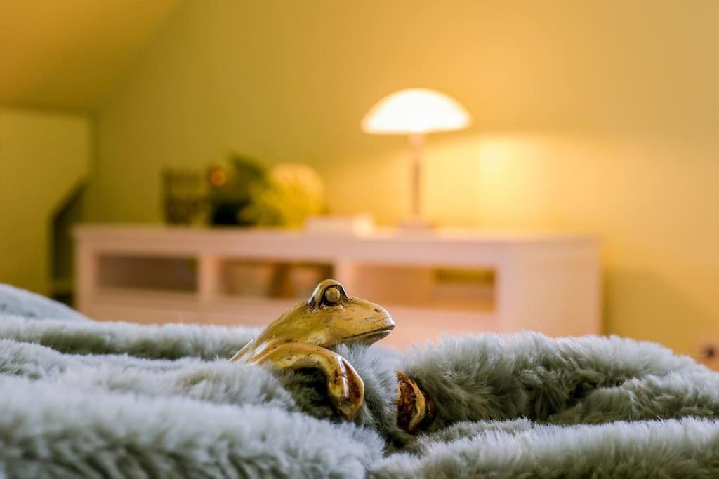 Charmante, großzügige Ferienwohnung Villa Fleurie