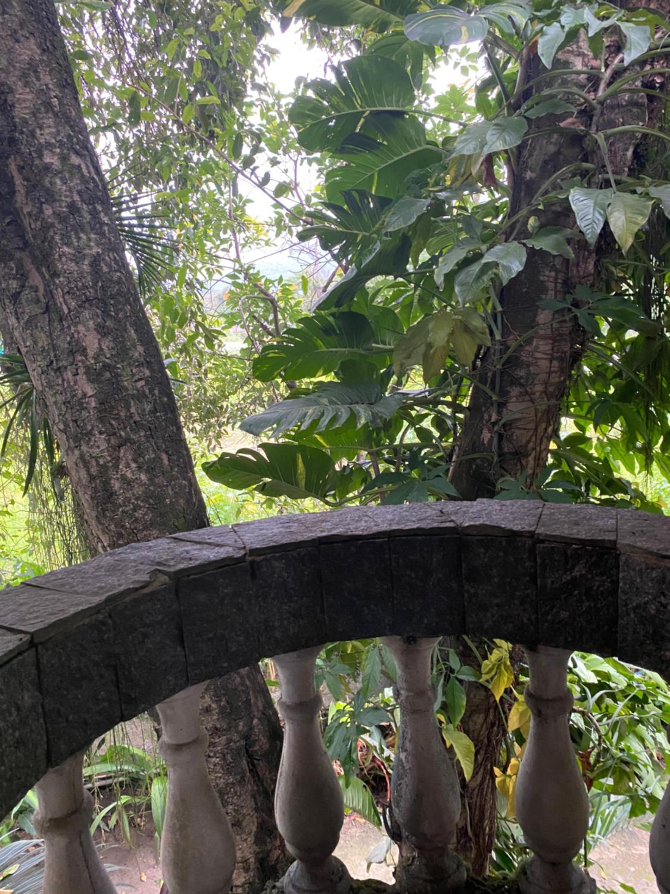 Rio natureza apart 115 — Rio De Janeiro photo 3