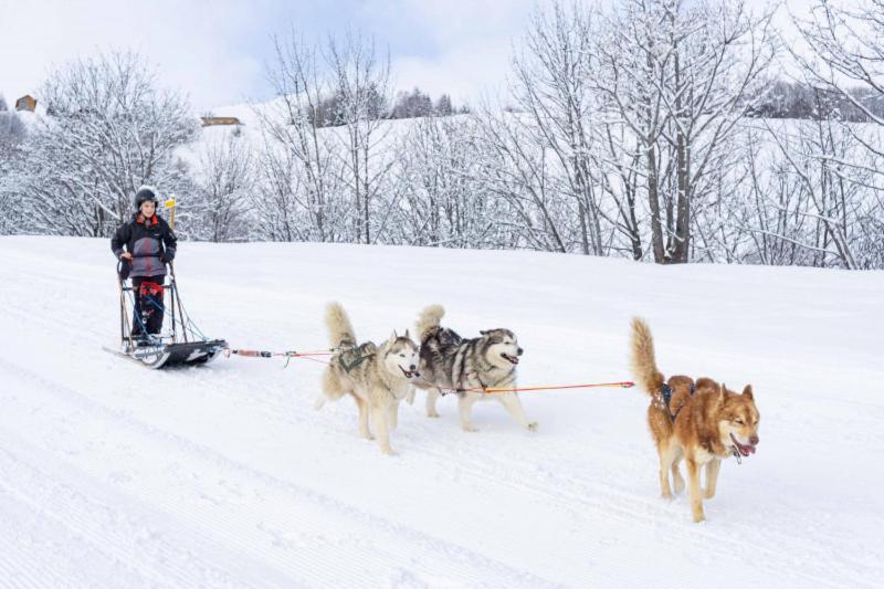 Studio cosy au pied des pistes