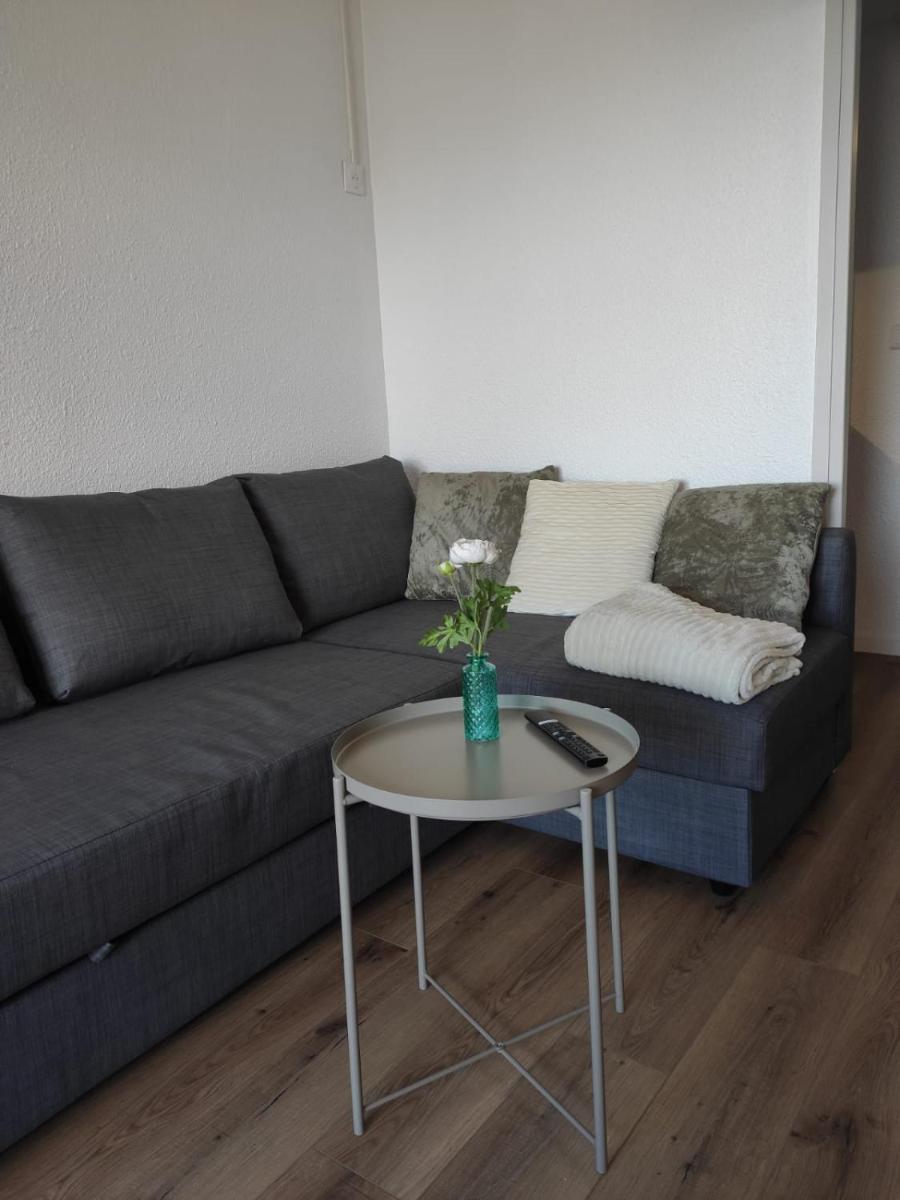 Studio cosy au pied des pistes