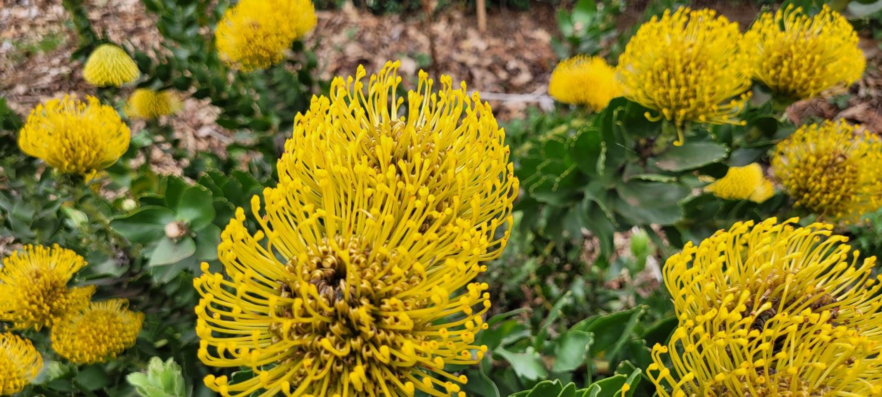 ReRooted Permaculture Farmstay