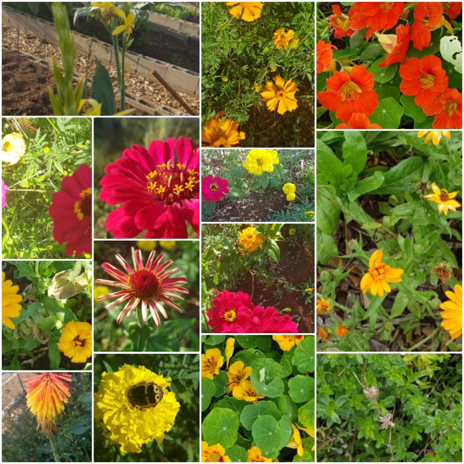 ReRooted Permaculture Farmstay