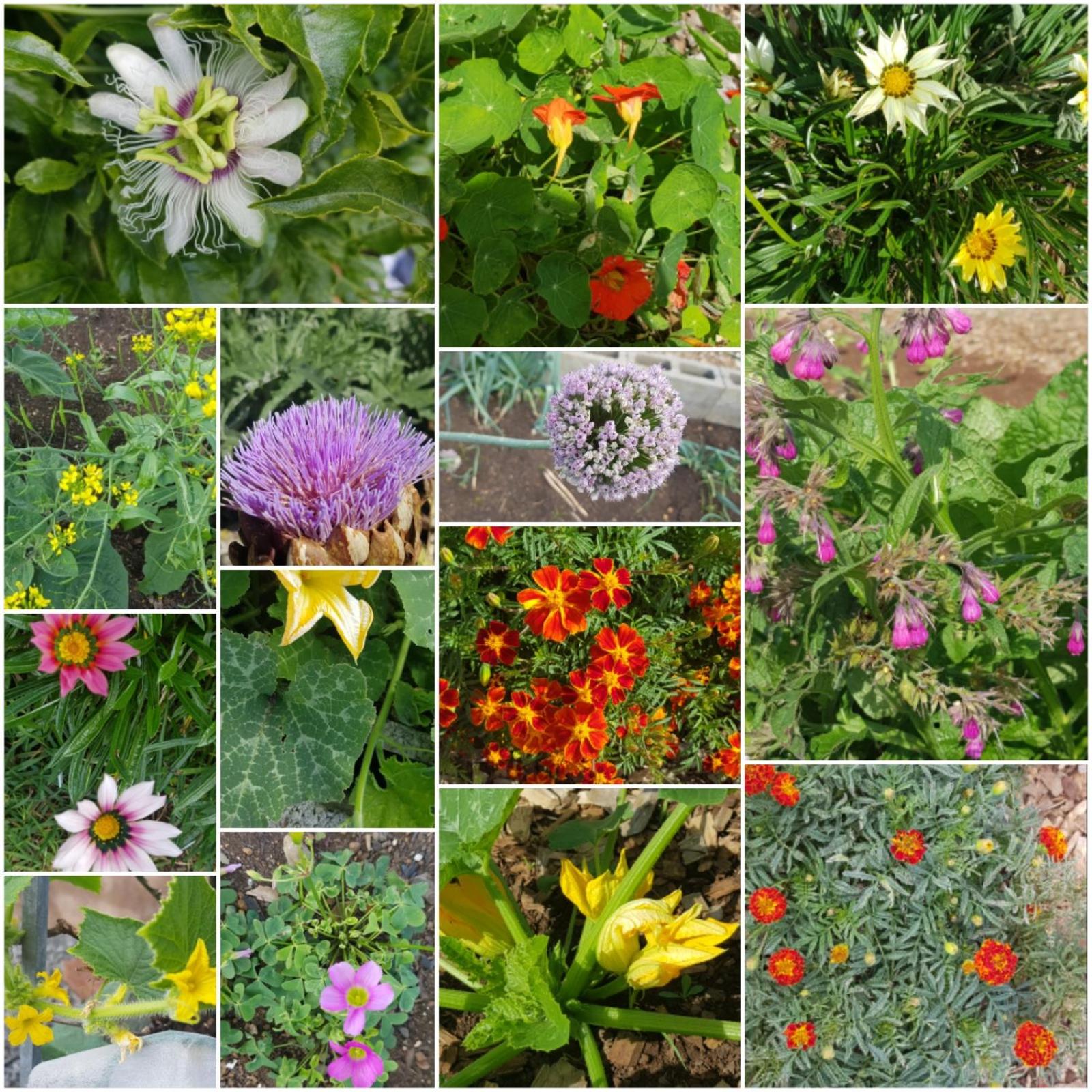 ReRooted Permaculture Farmstay