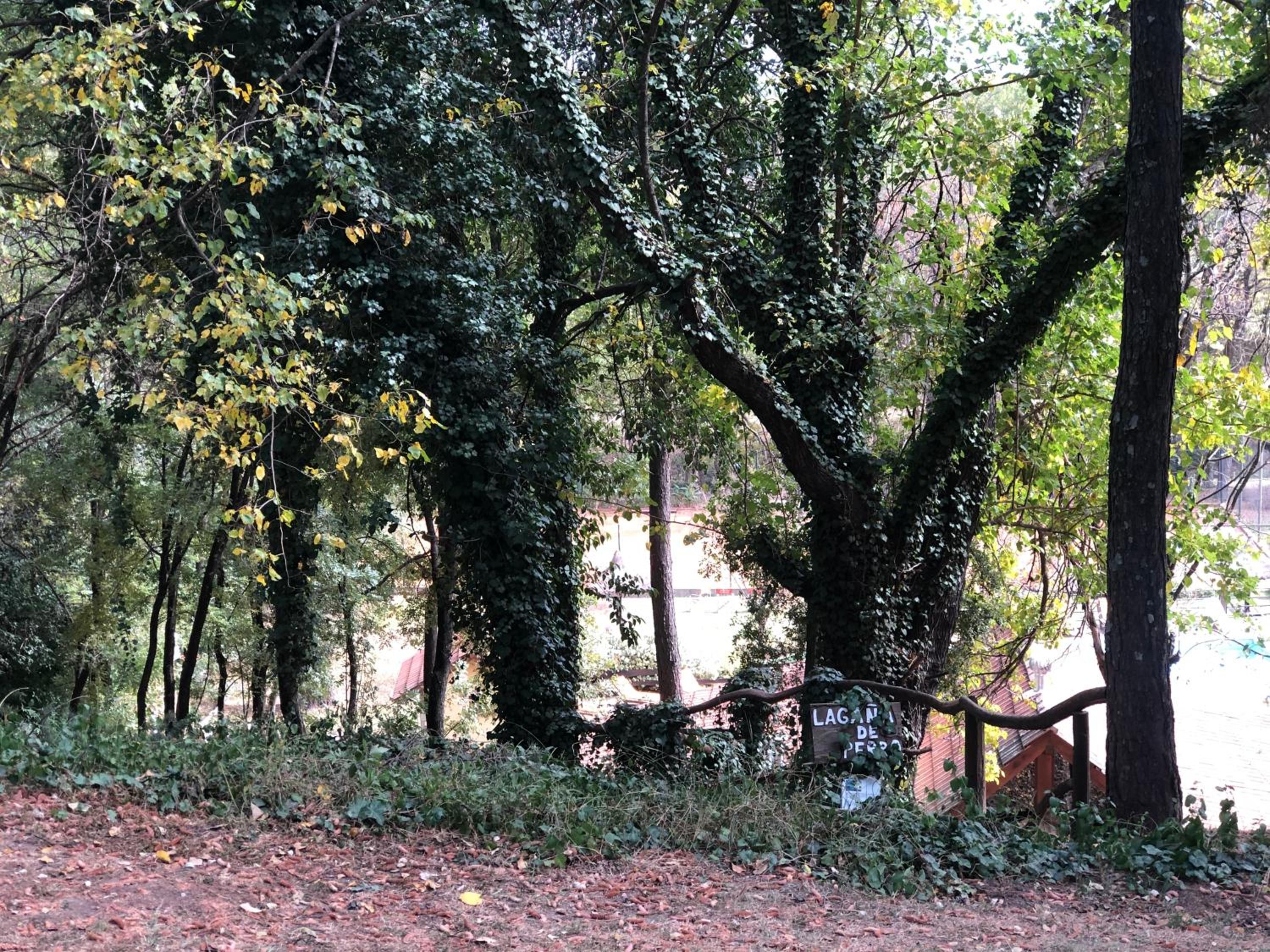 Cabañas Aufenthalt