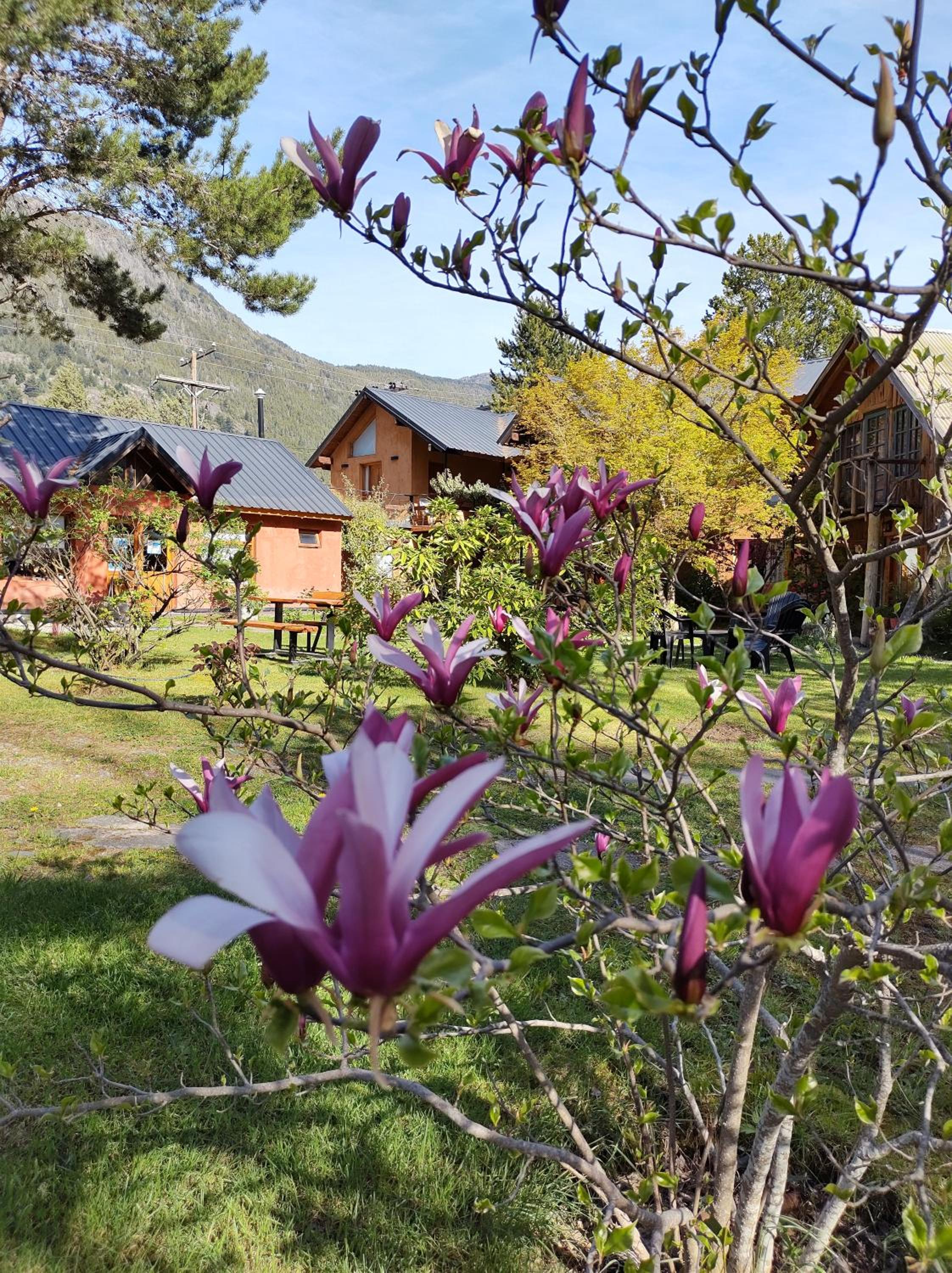 Valle Puelo