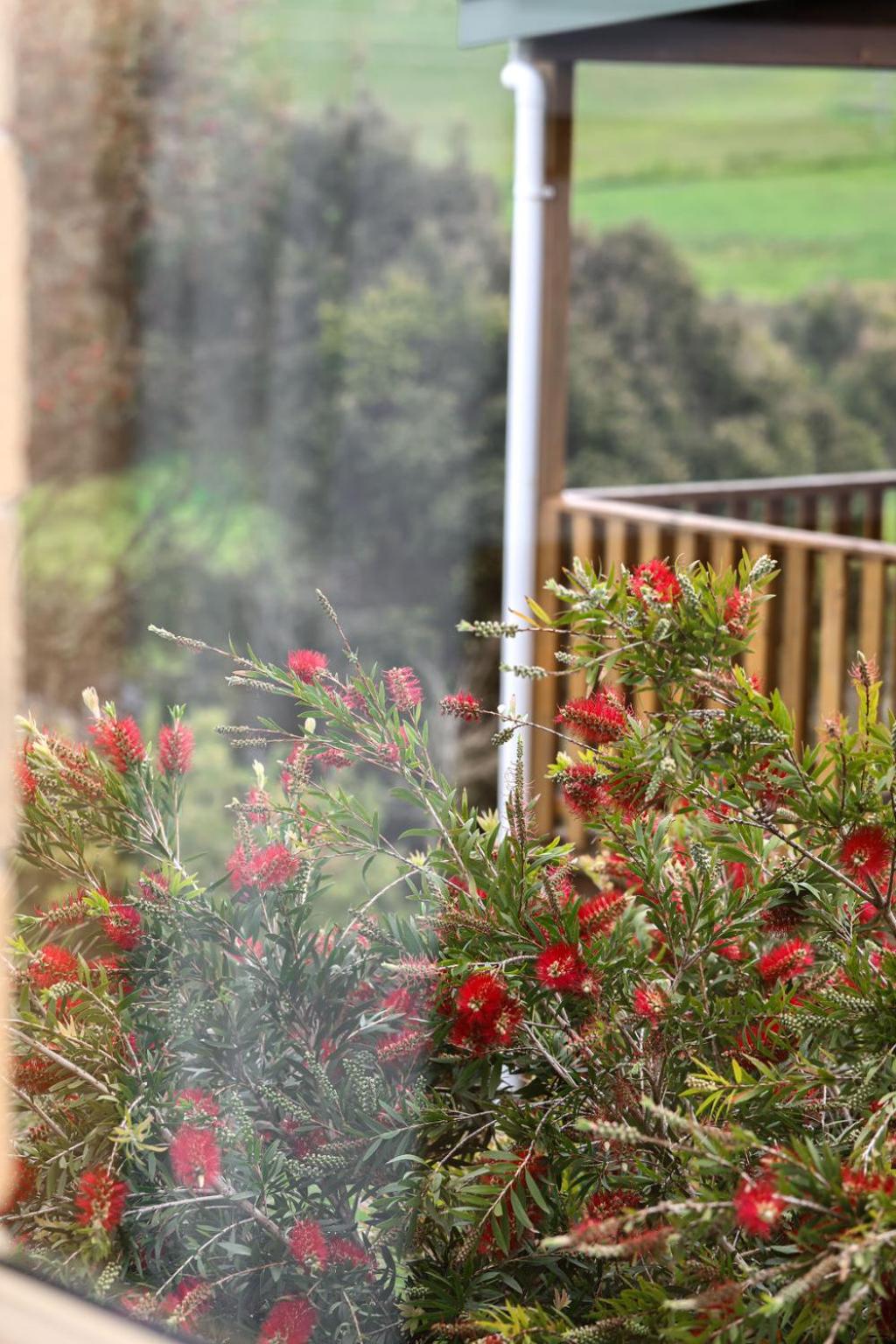 Daysy Hill Country Cottages