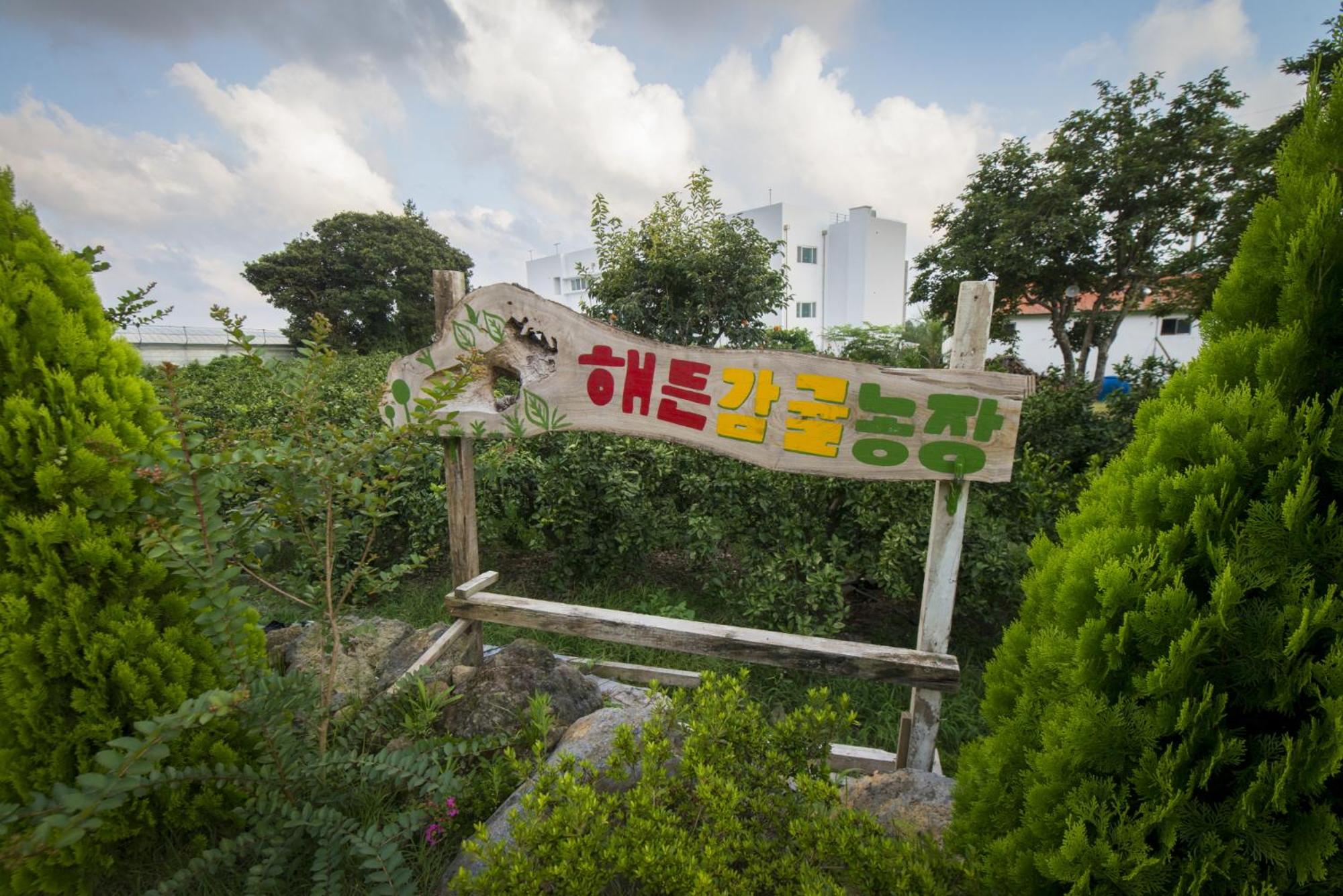 Haedenville Pension