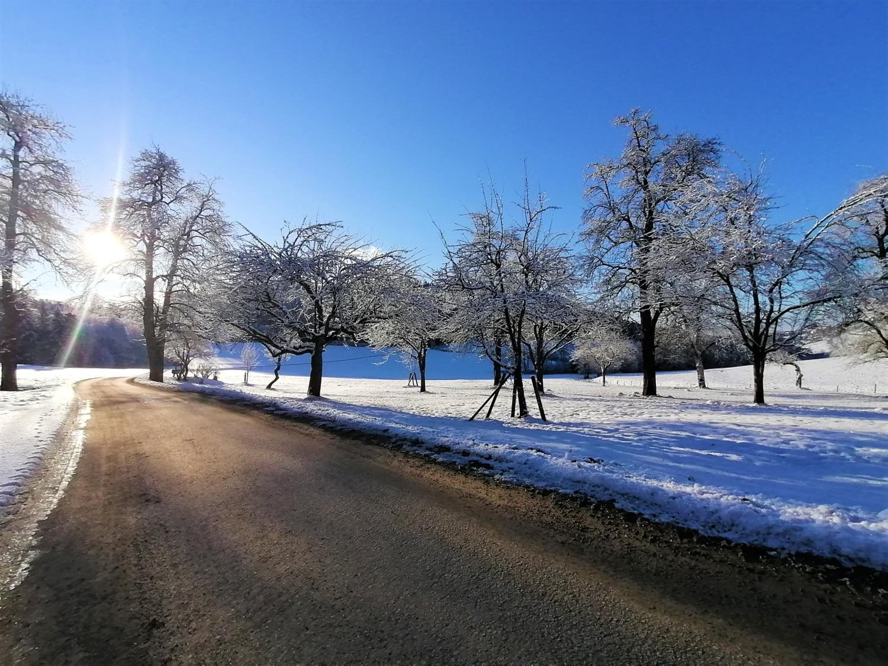 Staudachhof