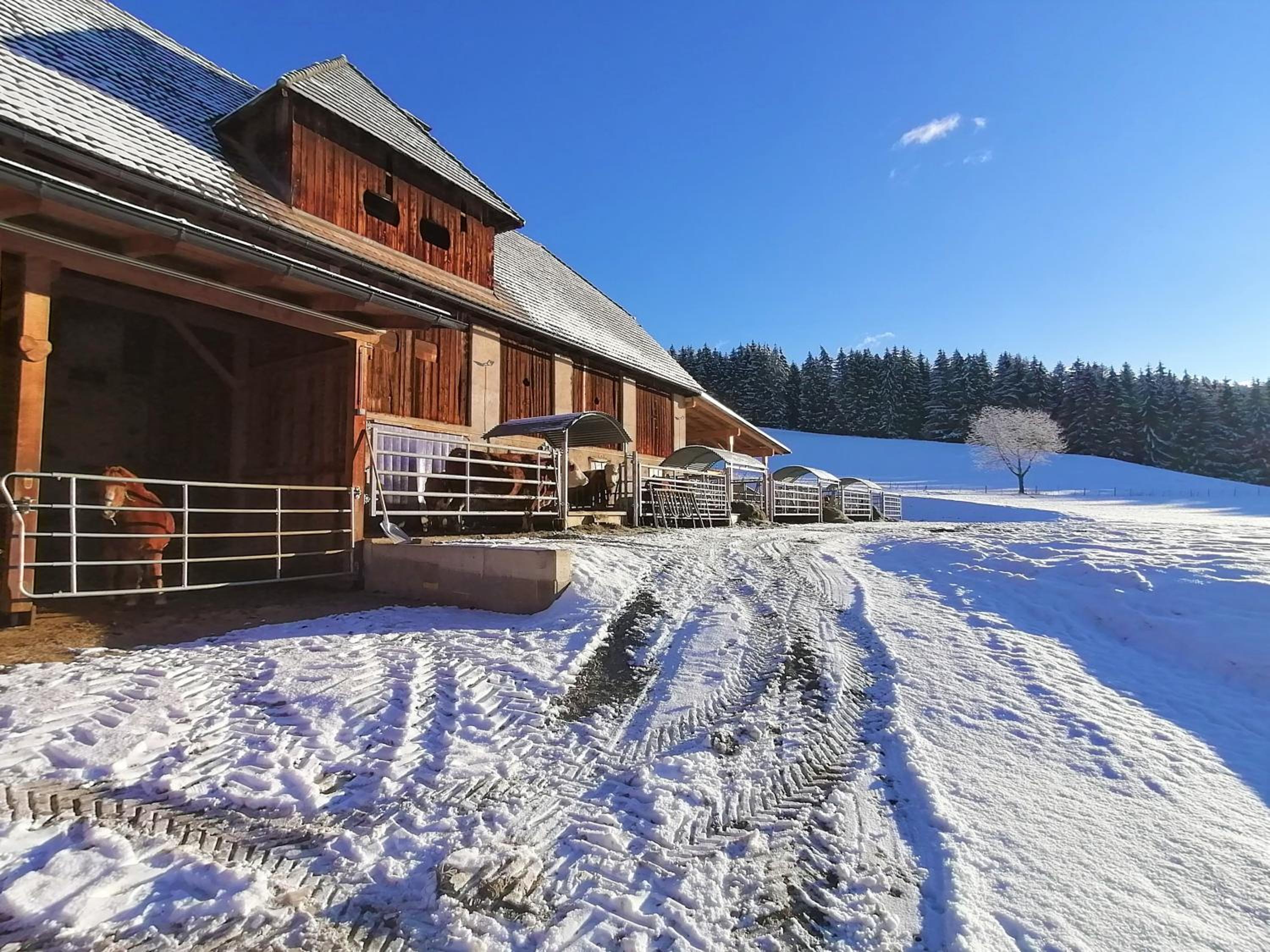 Staudachhof
