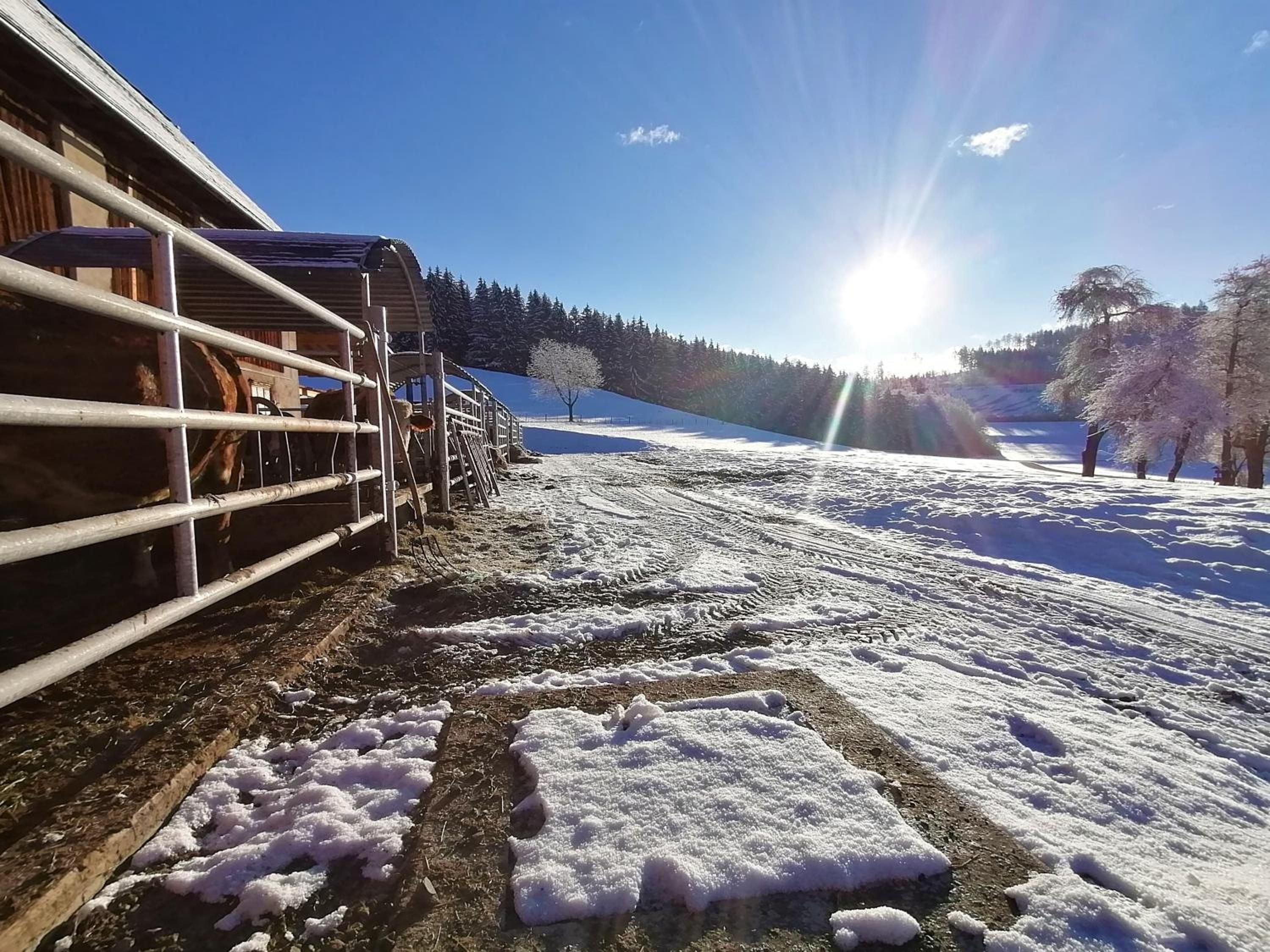 Staudachhof