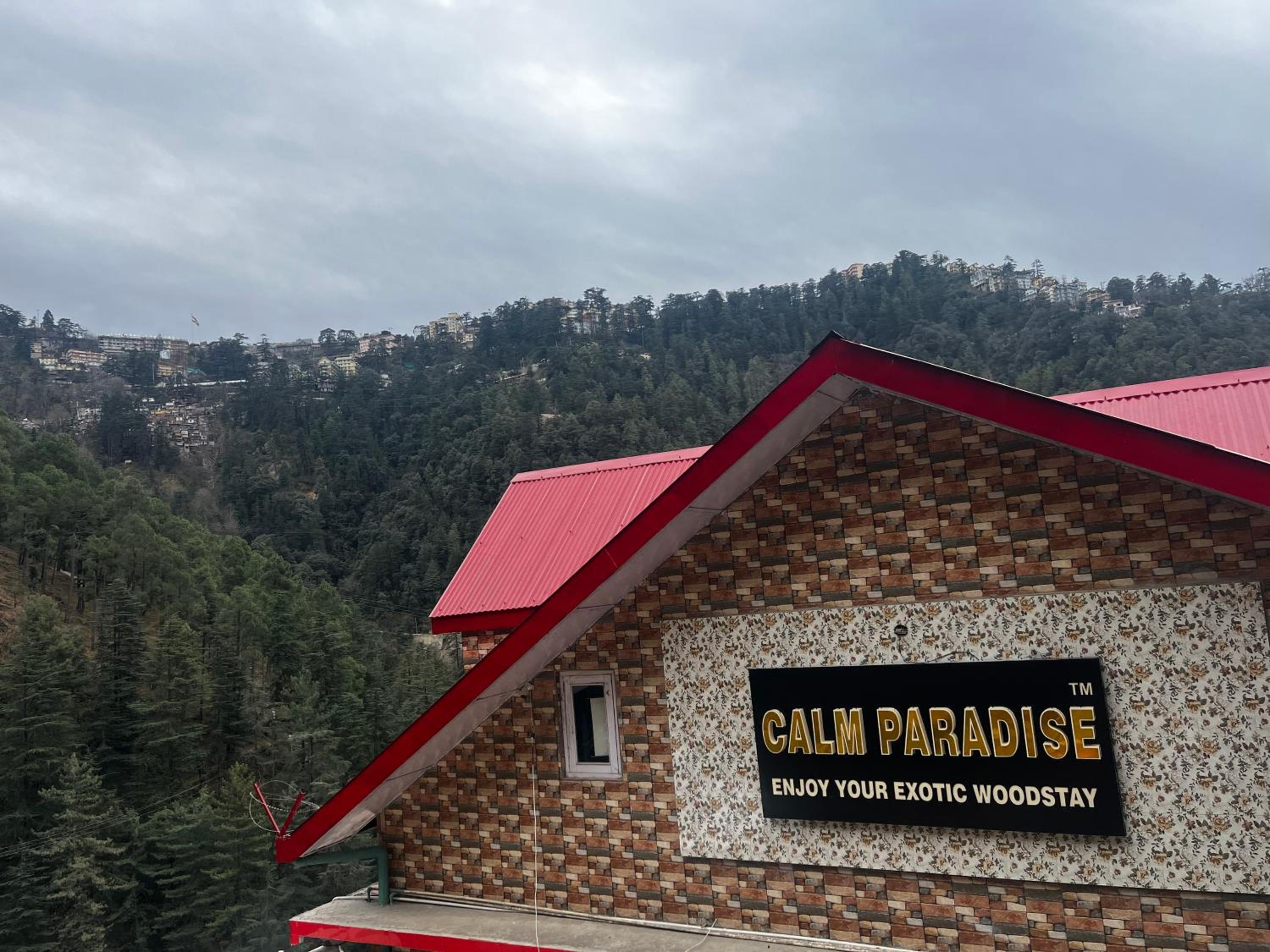 Calm Paradise, photo 26