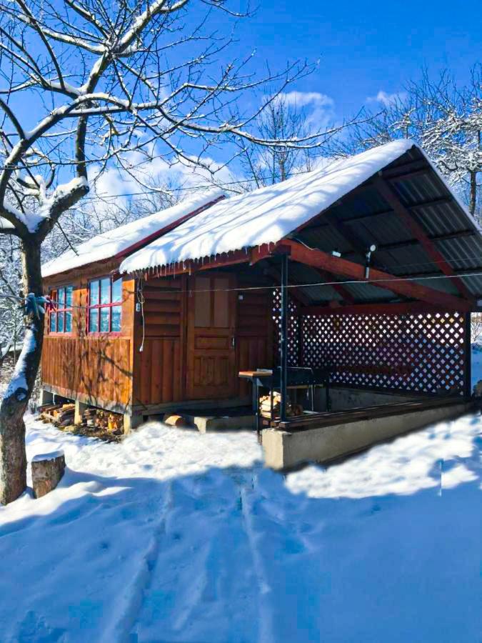 Під лісом у гіда view 2