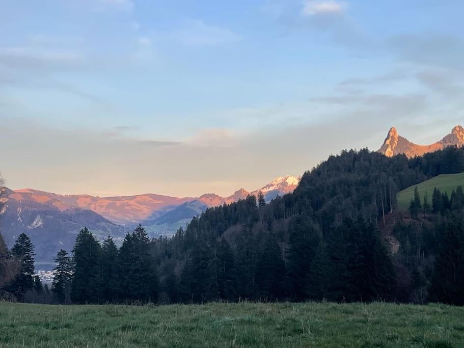 Joli studio au pied du Moleson view 3