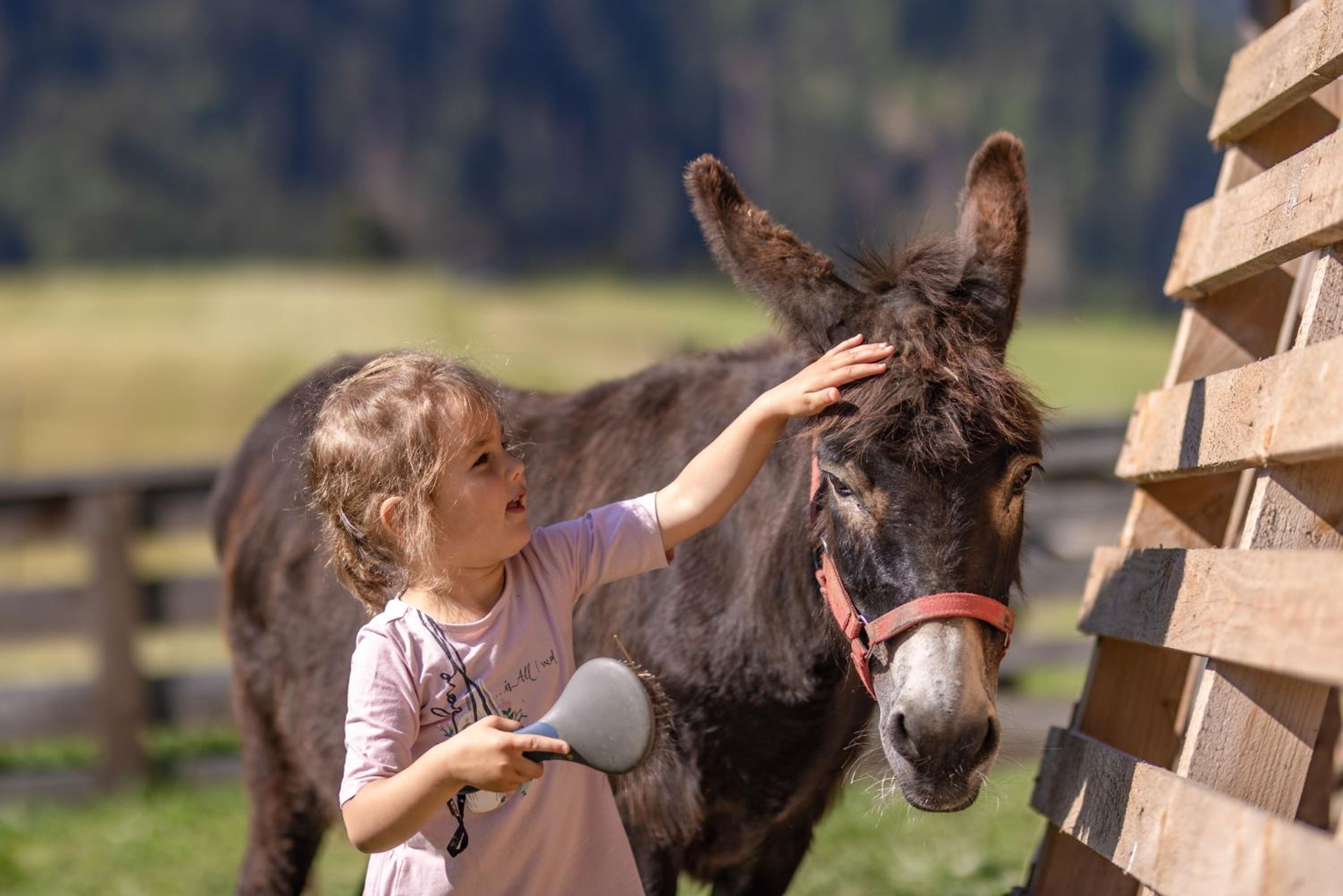 Erlebenswert Bauernhof Gruber