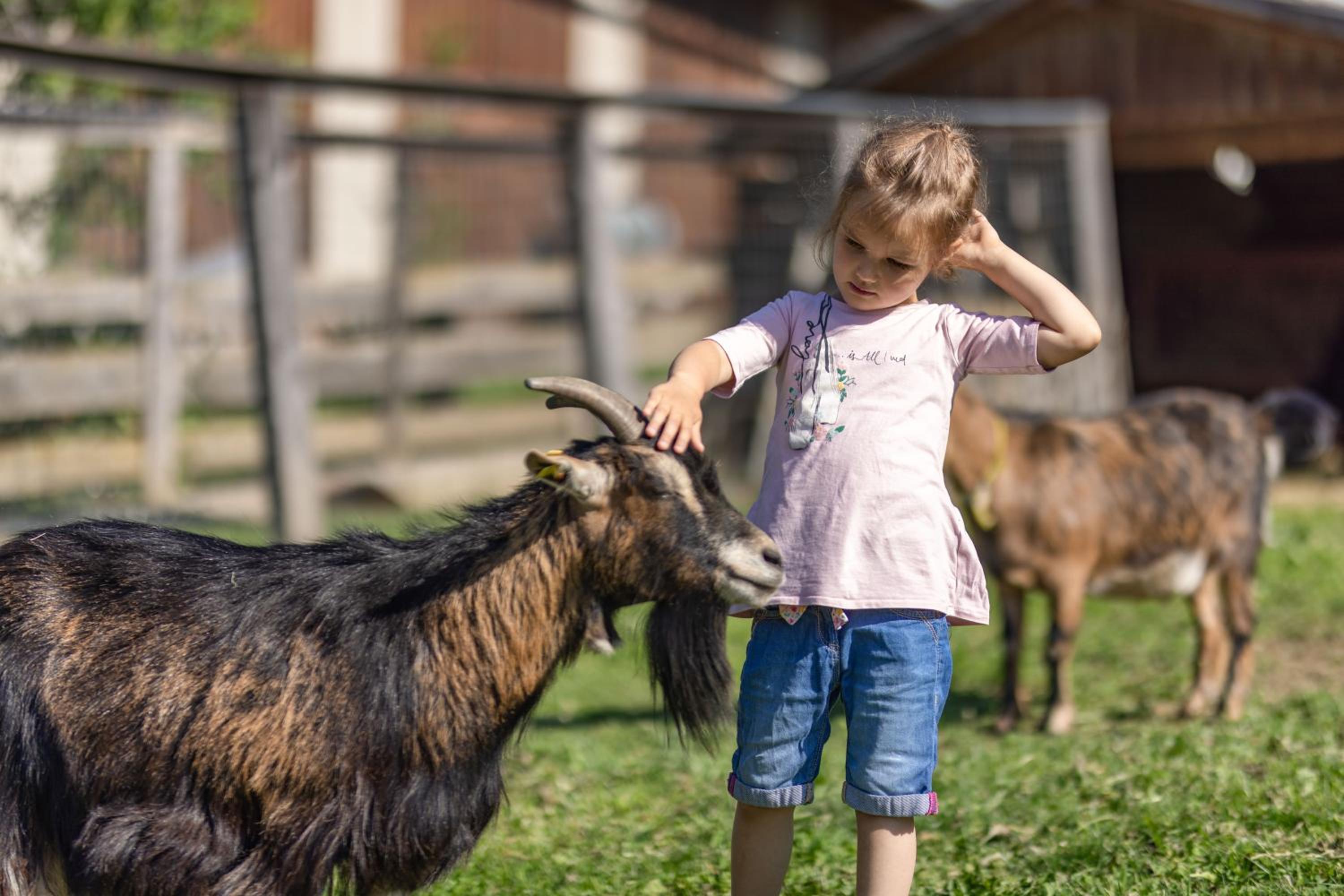 Erlebenswert Bauernhof Gruber