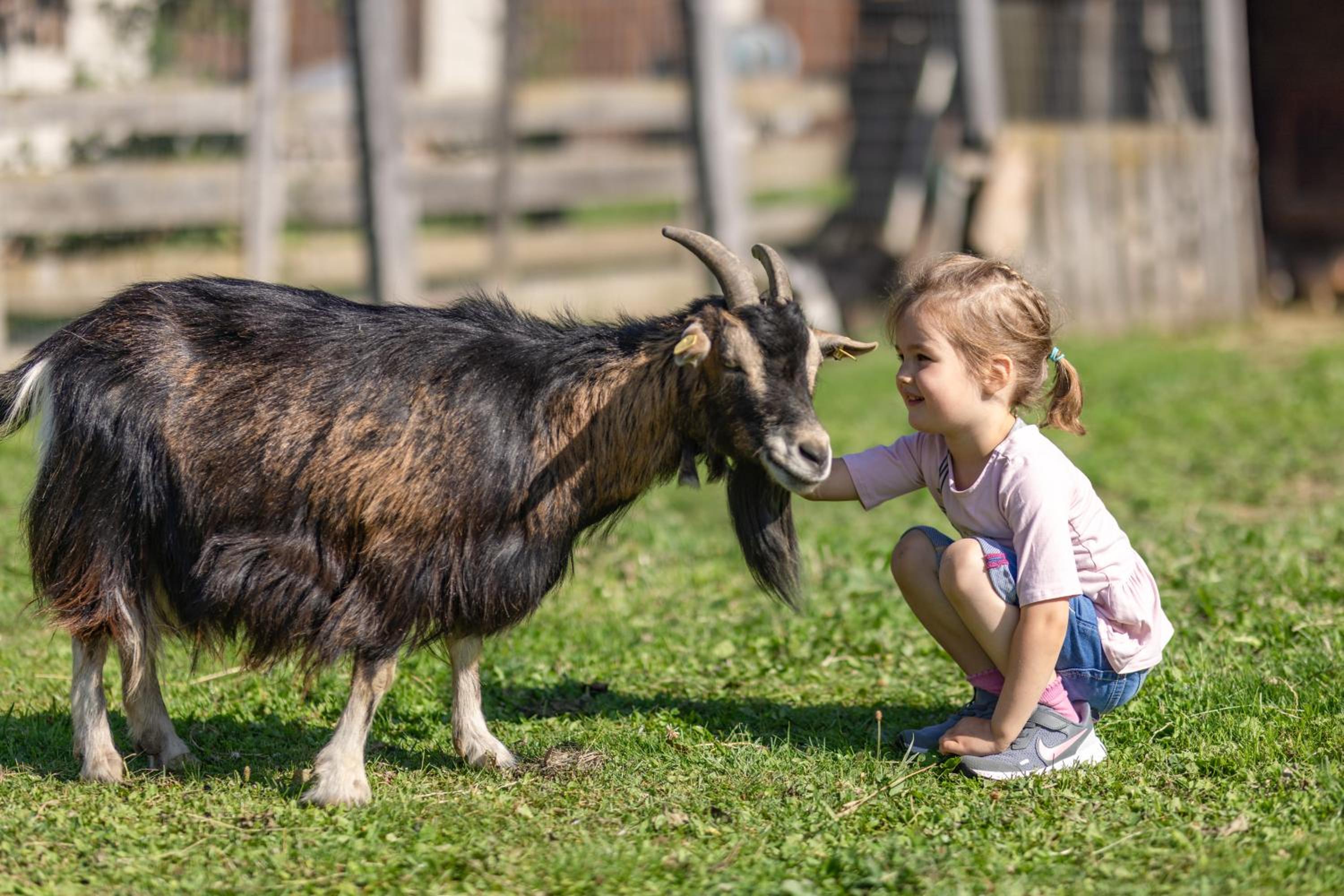 Erlebenswert Bauernhof Gruber