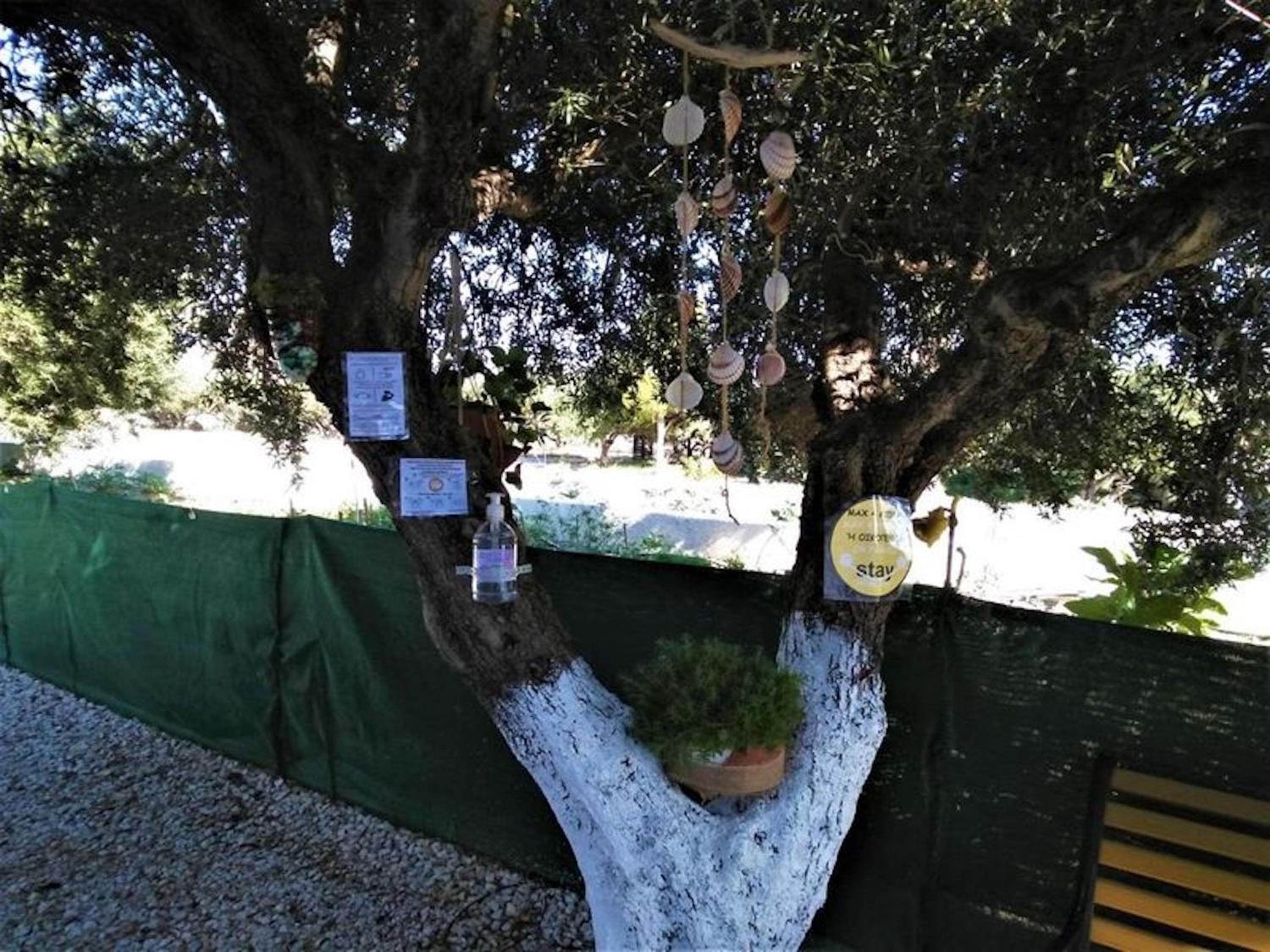 Studio with sea view, Creta, Ierapetra photo 3