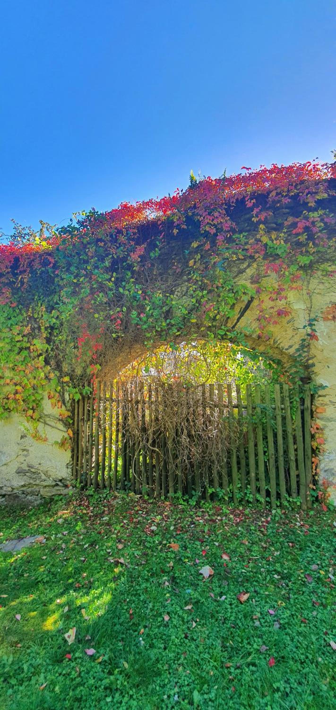 Penzion Krakovice
