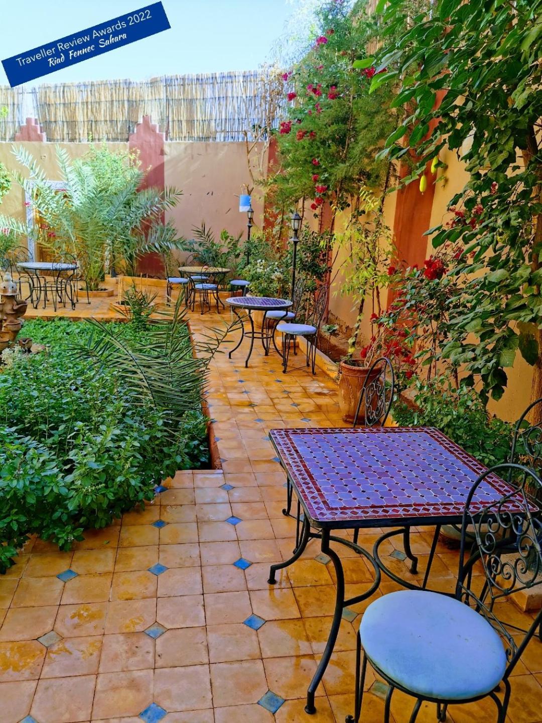 Riad Fennec Sahara view 2