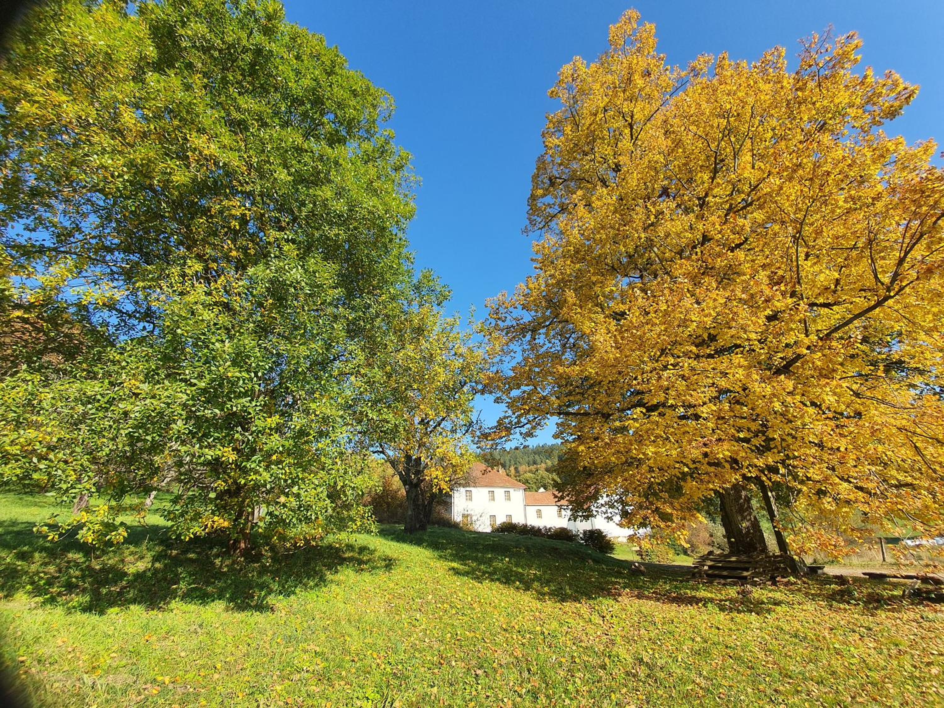 Penzion Krakovice