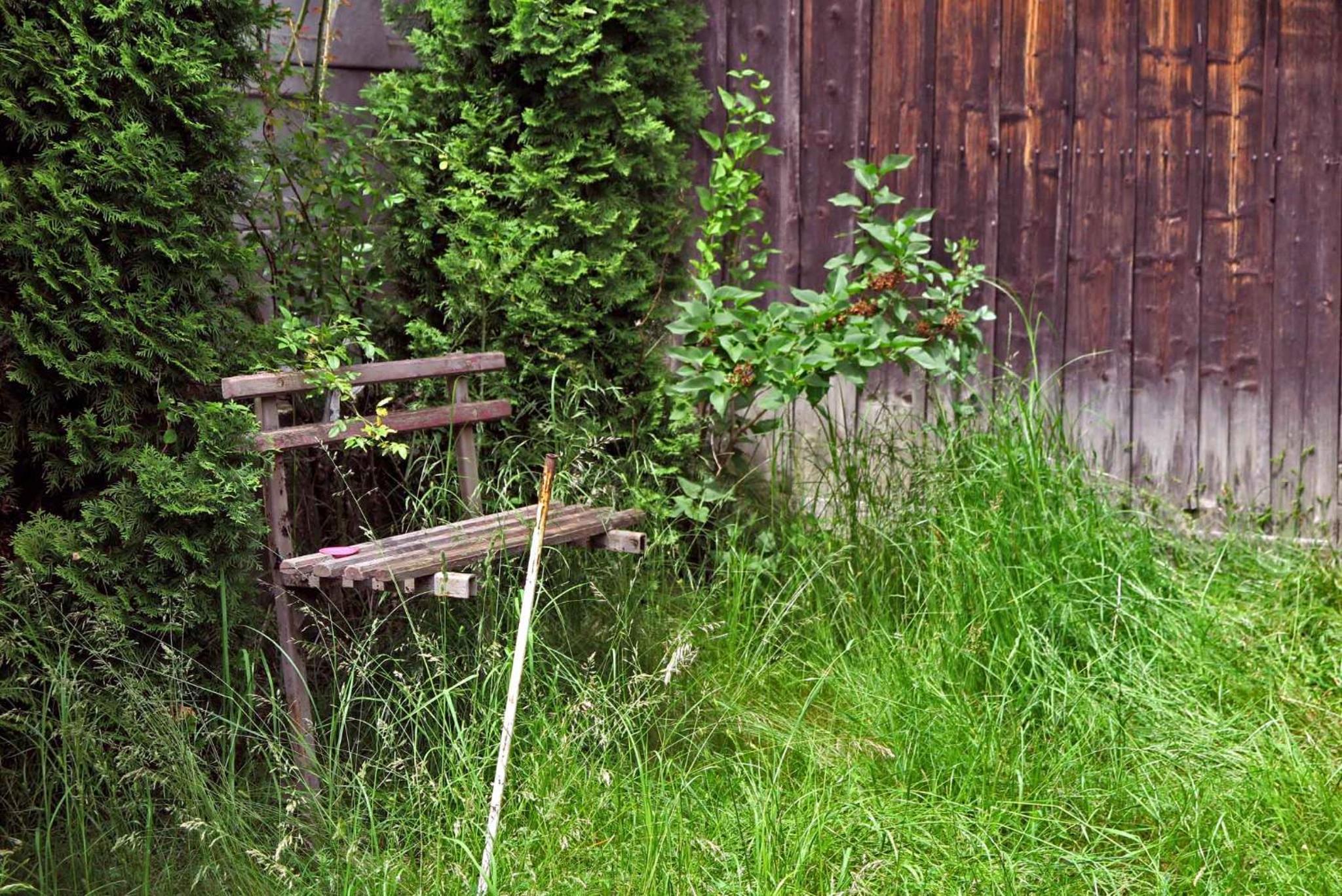 Photo 32