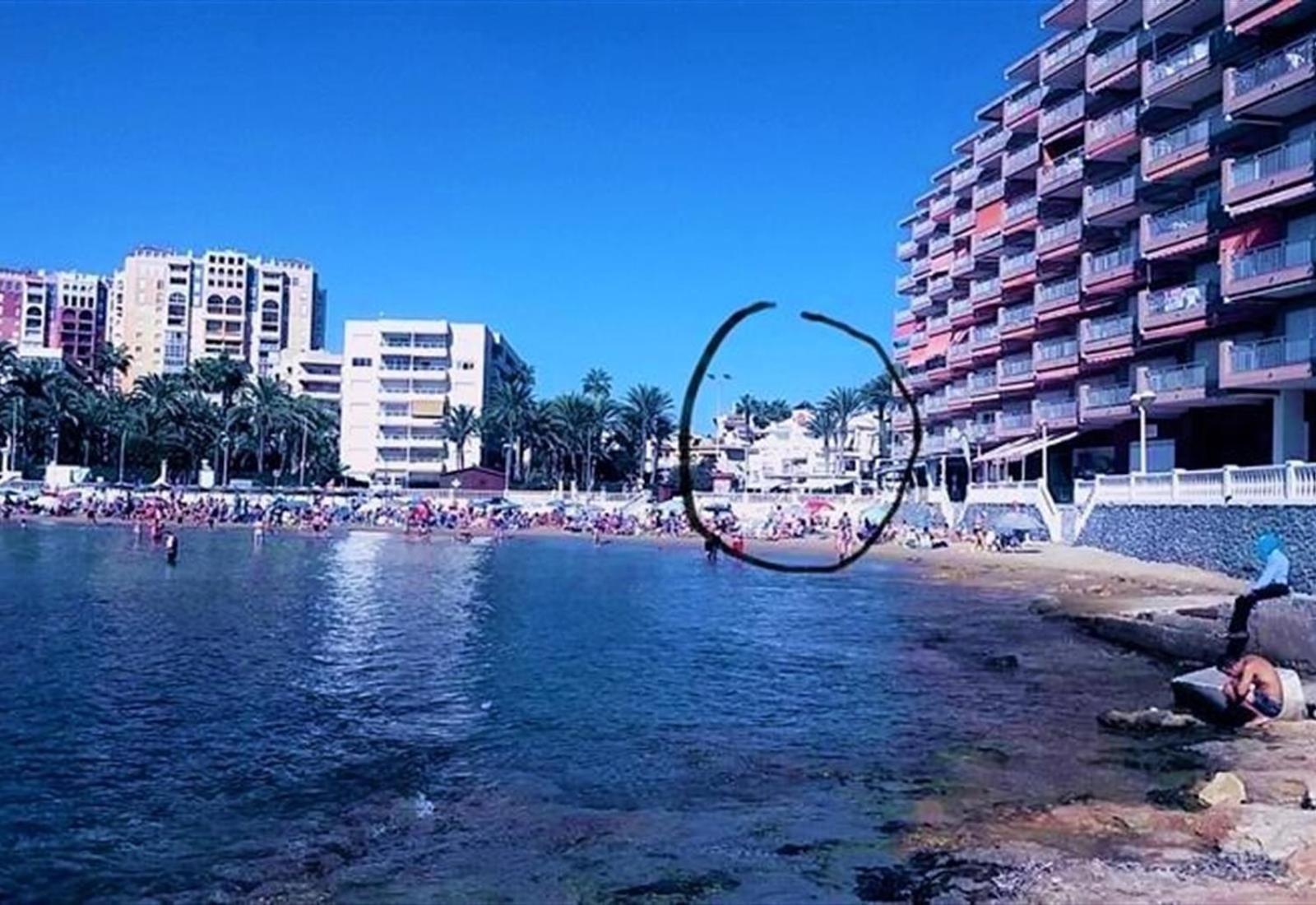 Duquesa Beach