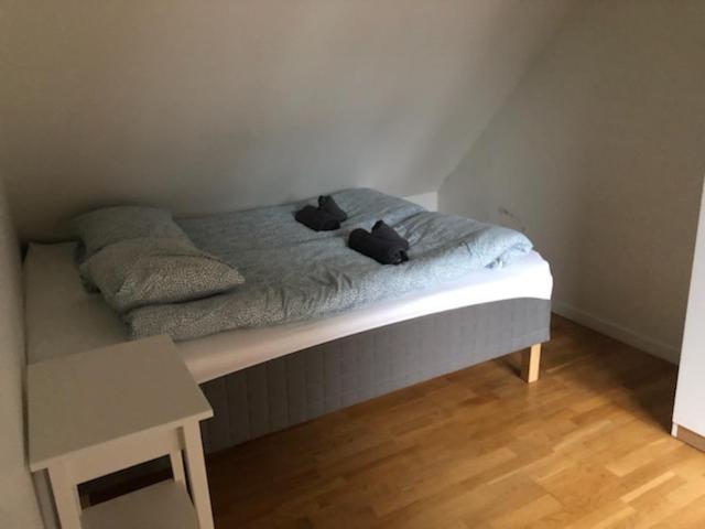 Fløyen Apartment
