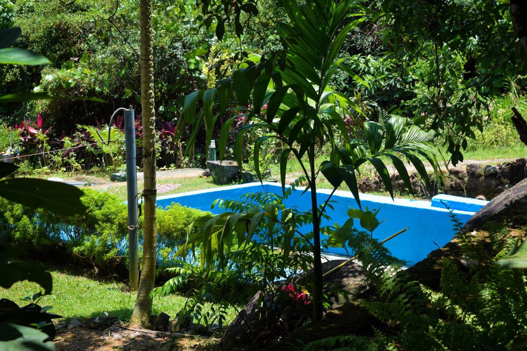 Green Leaf Holiday Bungalow view 2