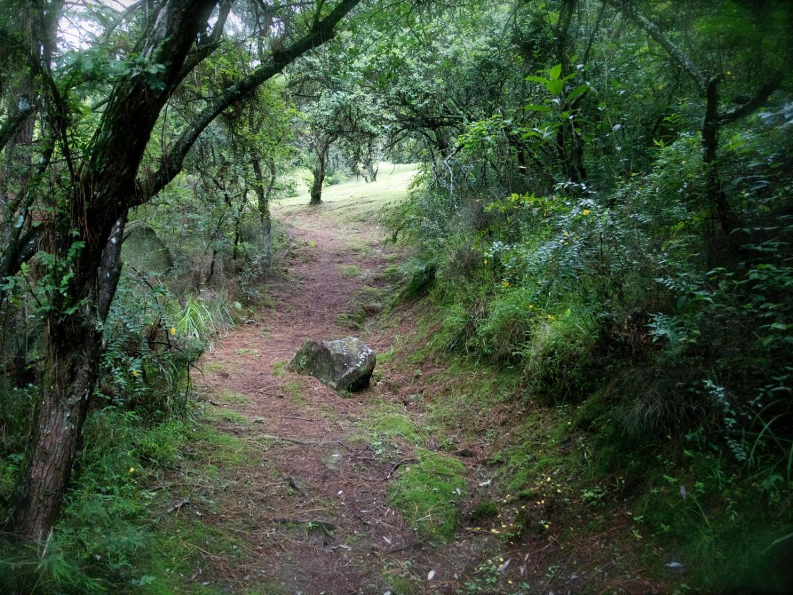 Woodcroft