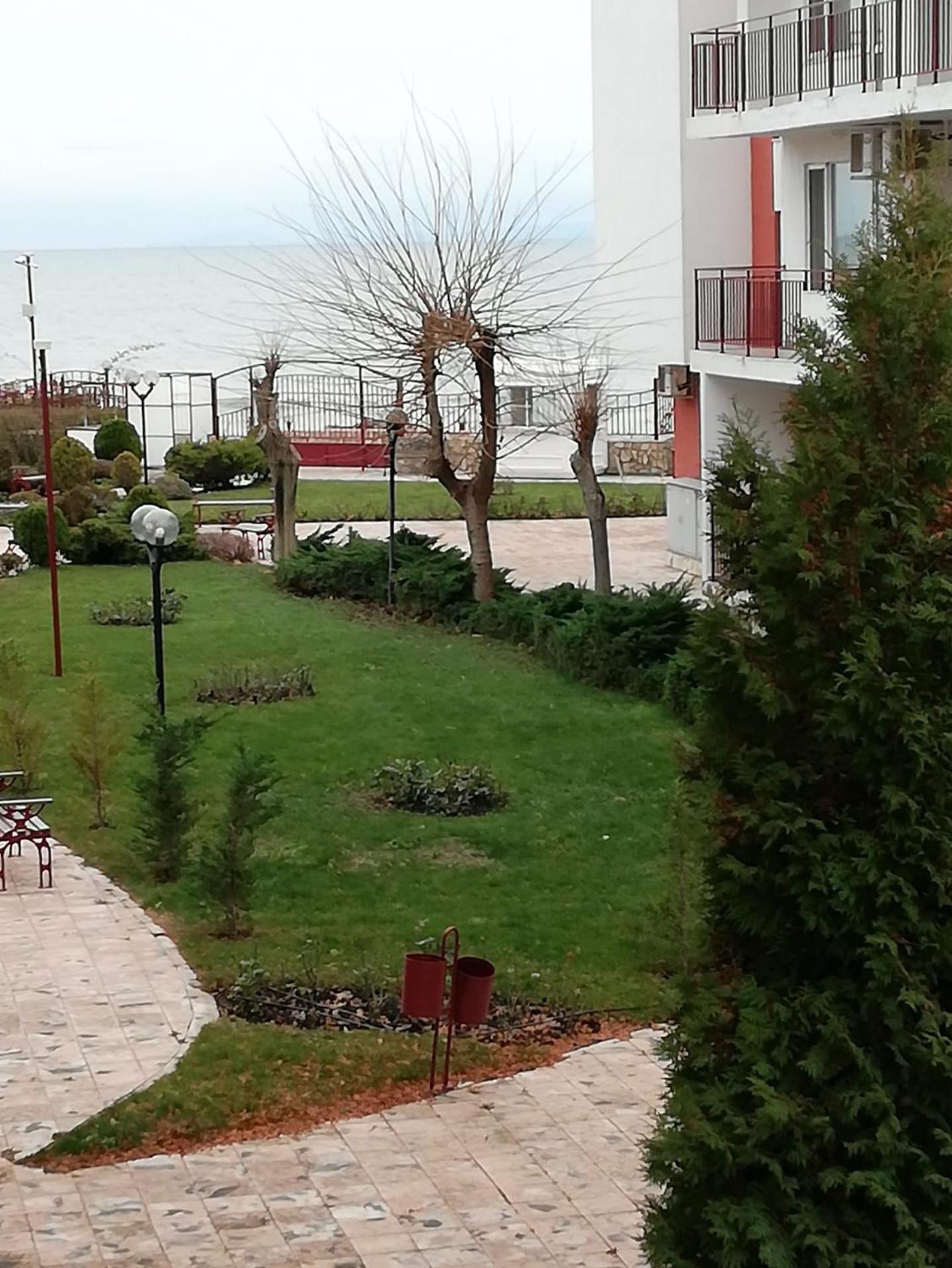 Photo 41