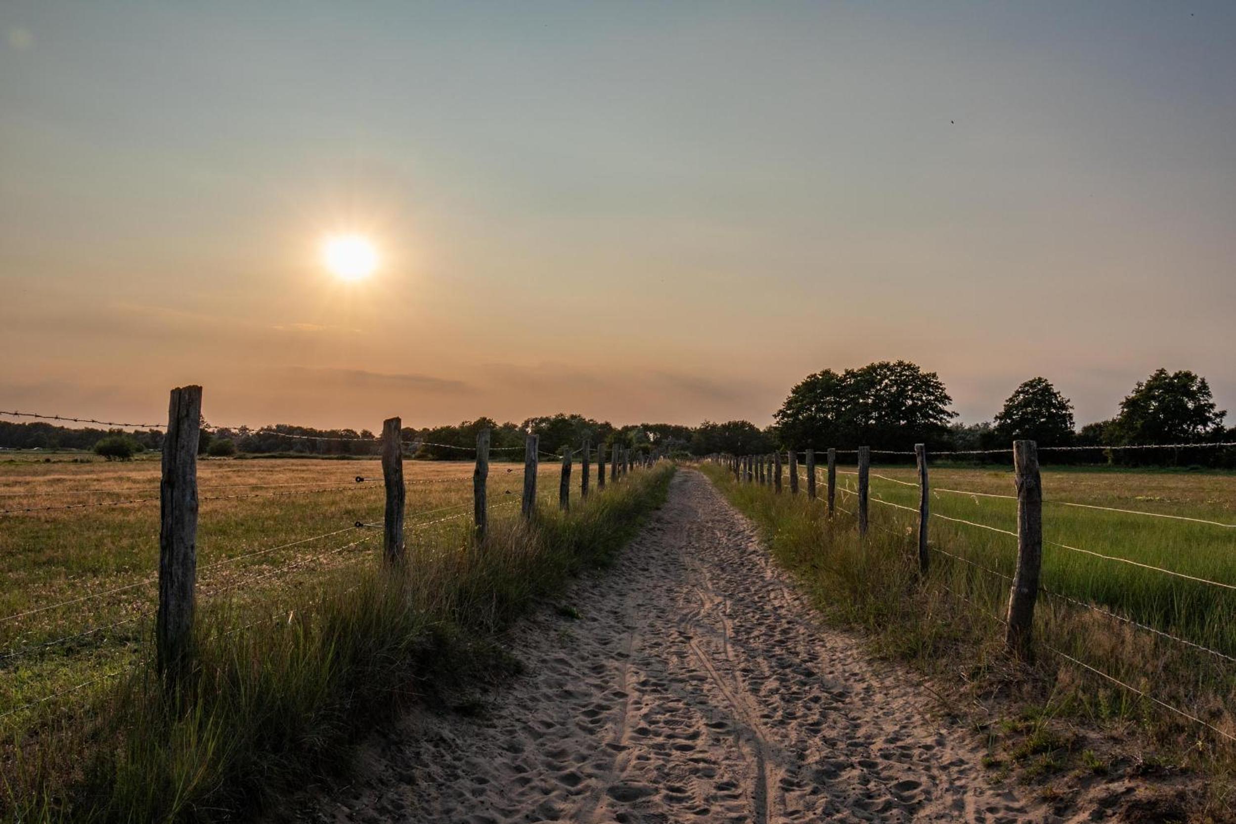 Ostsee Domizil Graal-Müritz