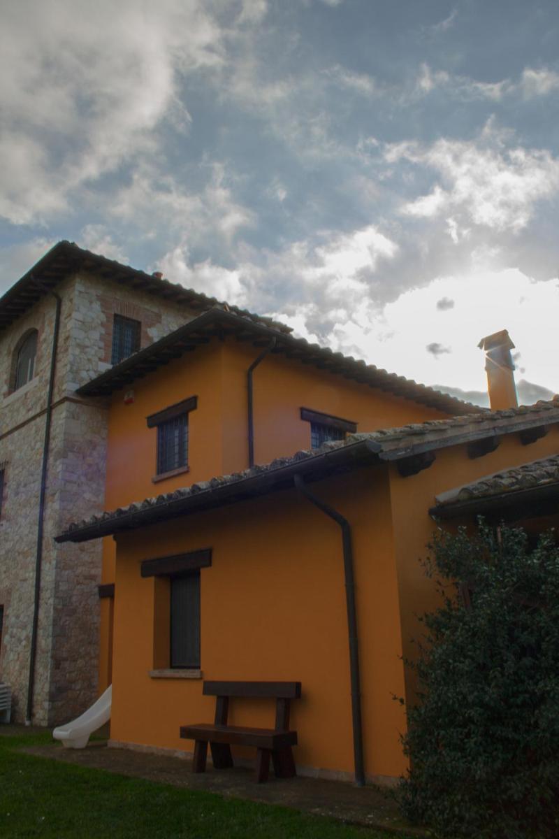 Photo 41