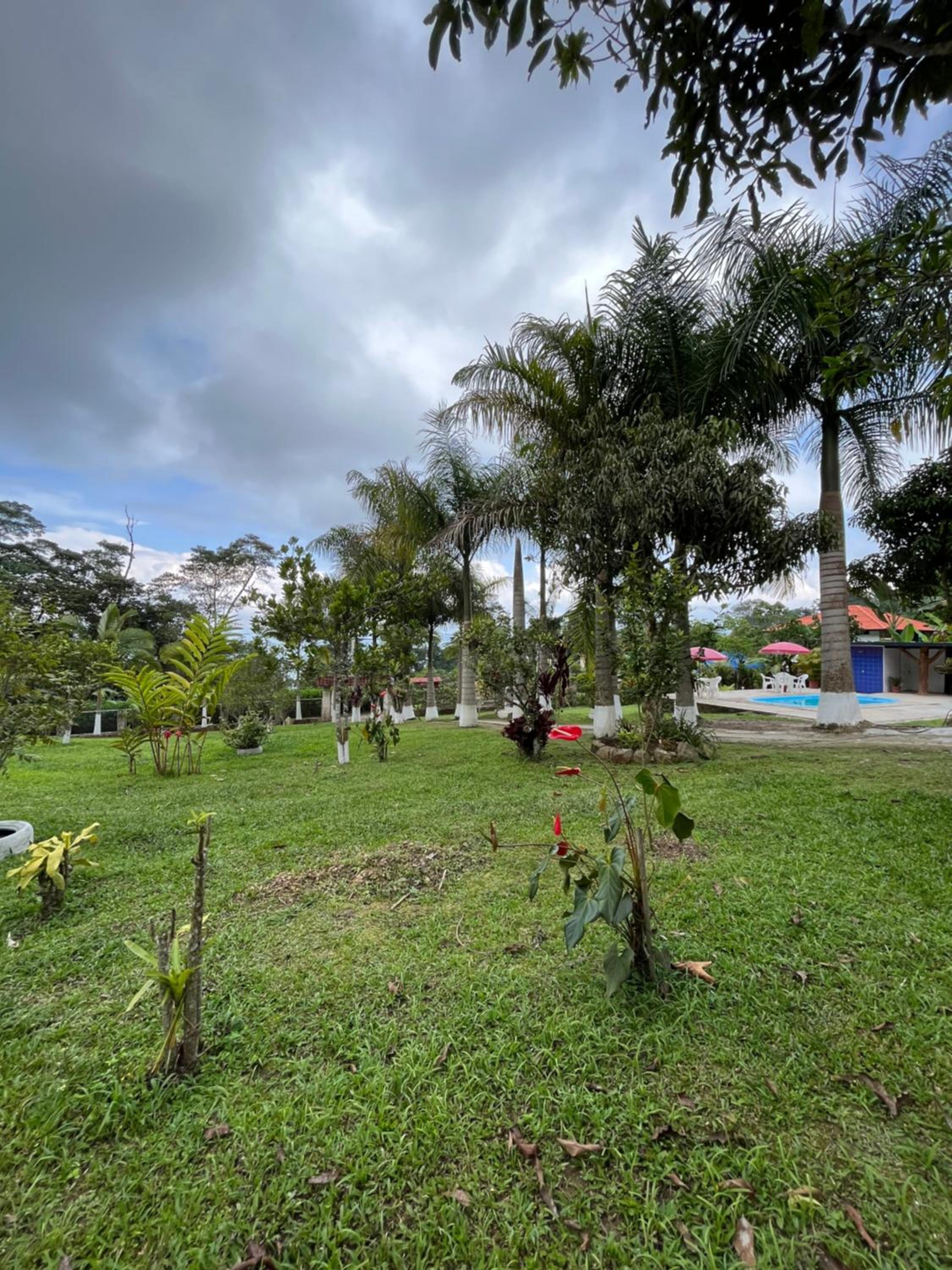 Finca campestre en Mesitas del Colegio