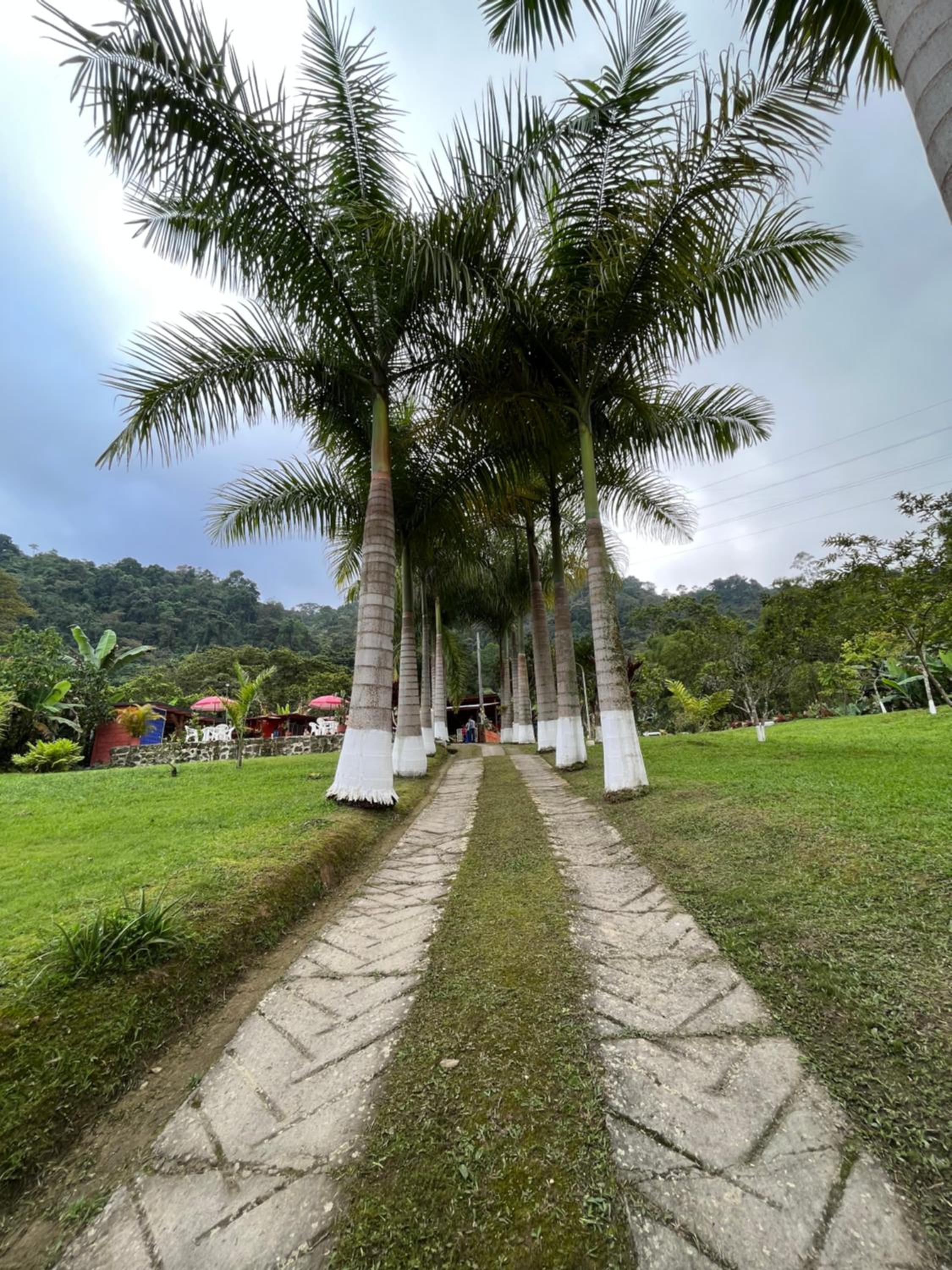 Finca campestre en Mesitas del Colegio