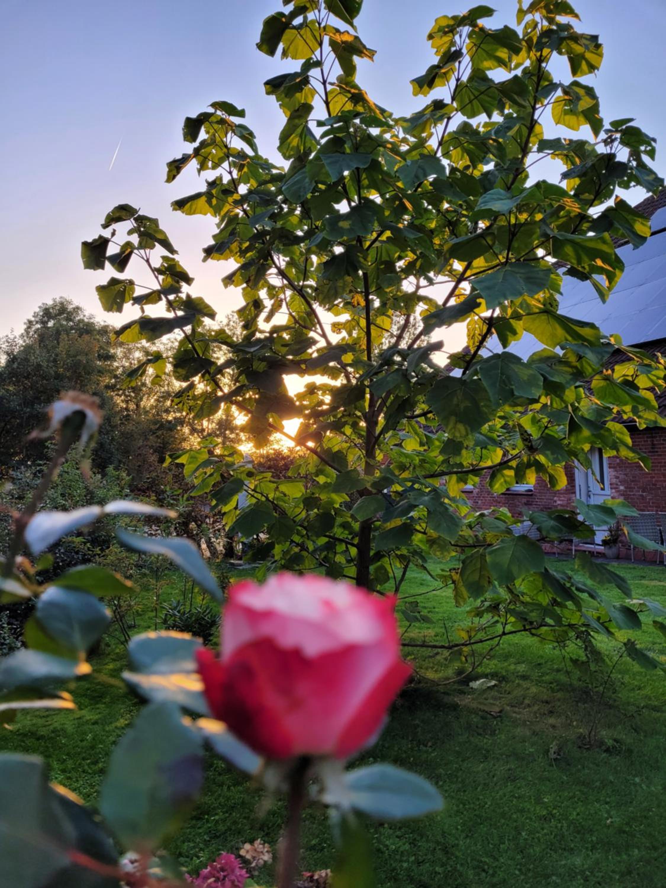 Gulfhof Anelis