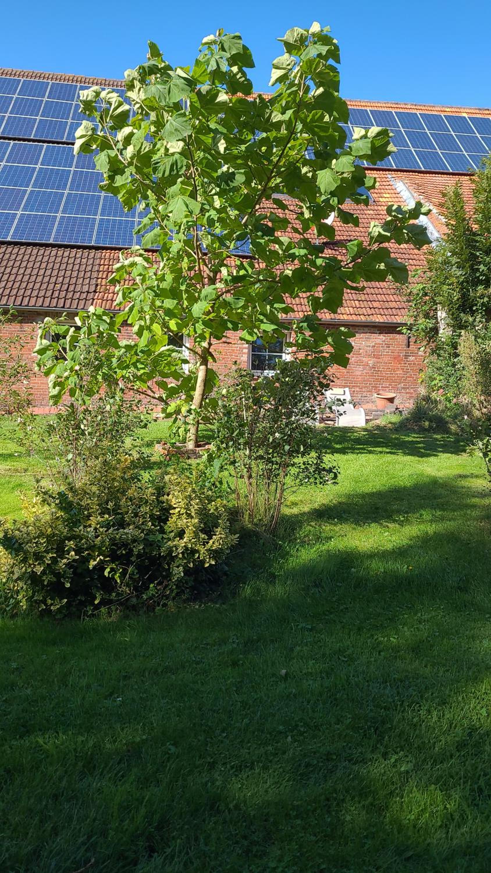 Gulfhof Anelis