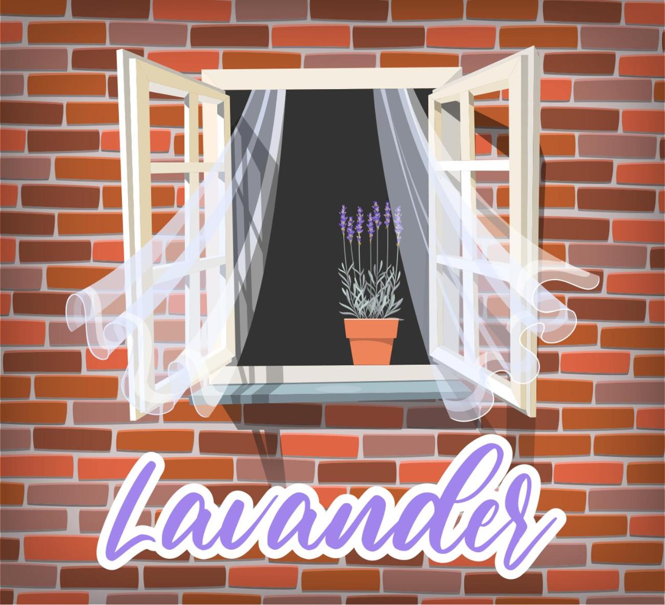 Lavander