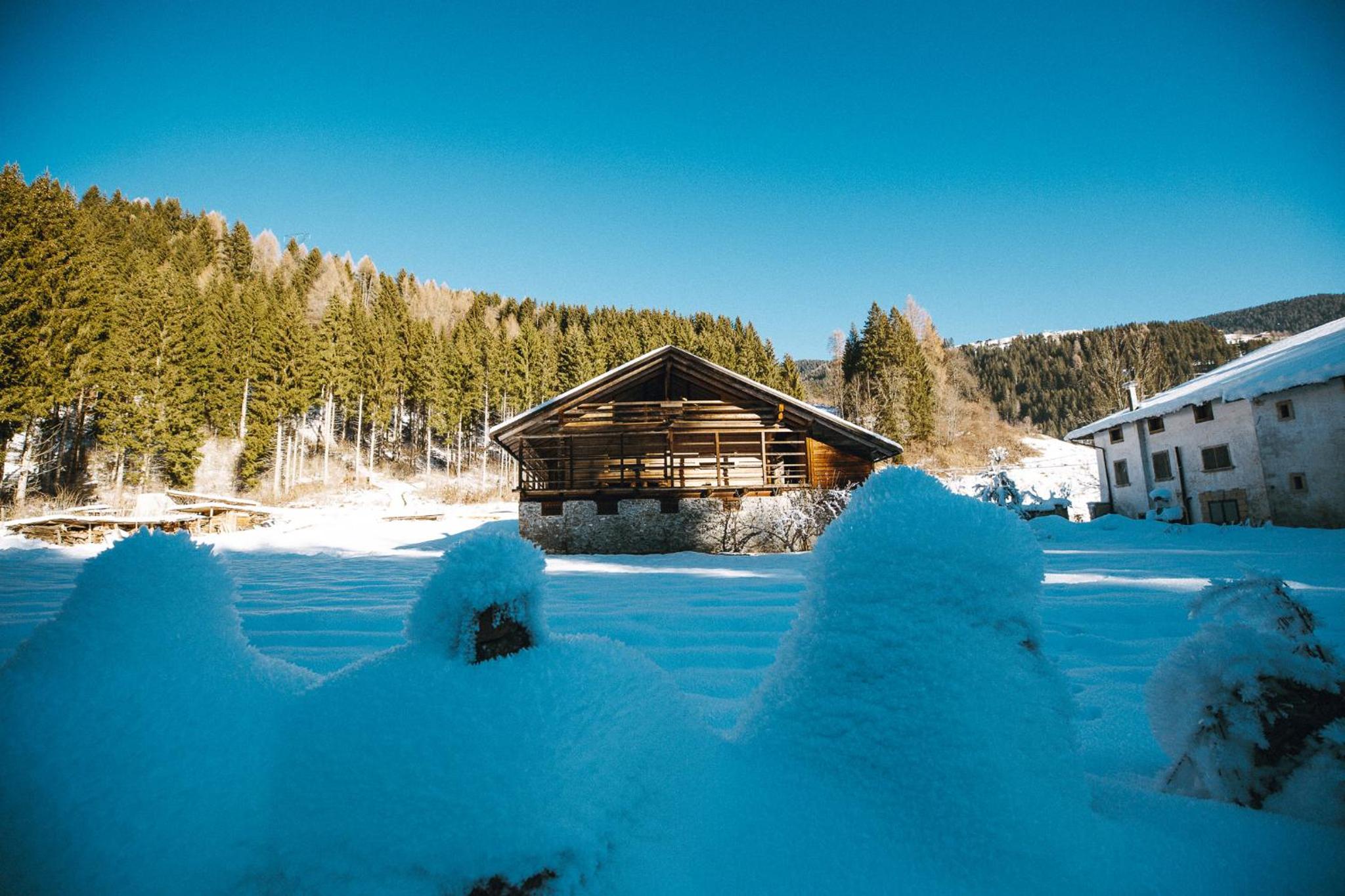 Lärchenwirt Dolomites