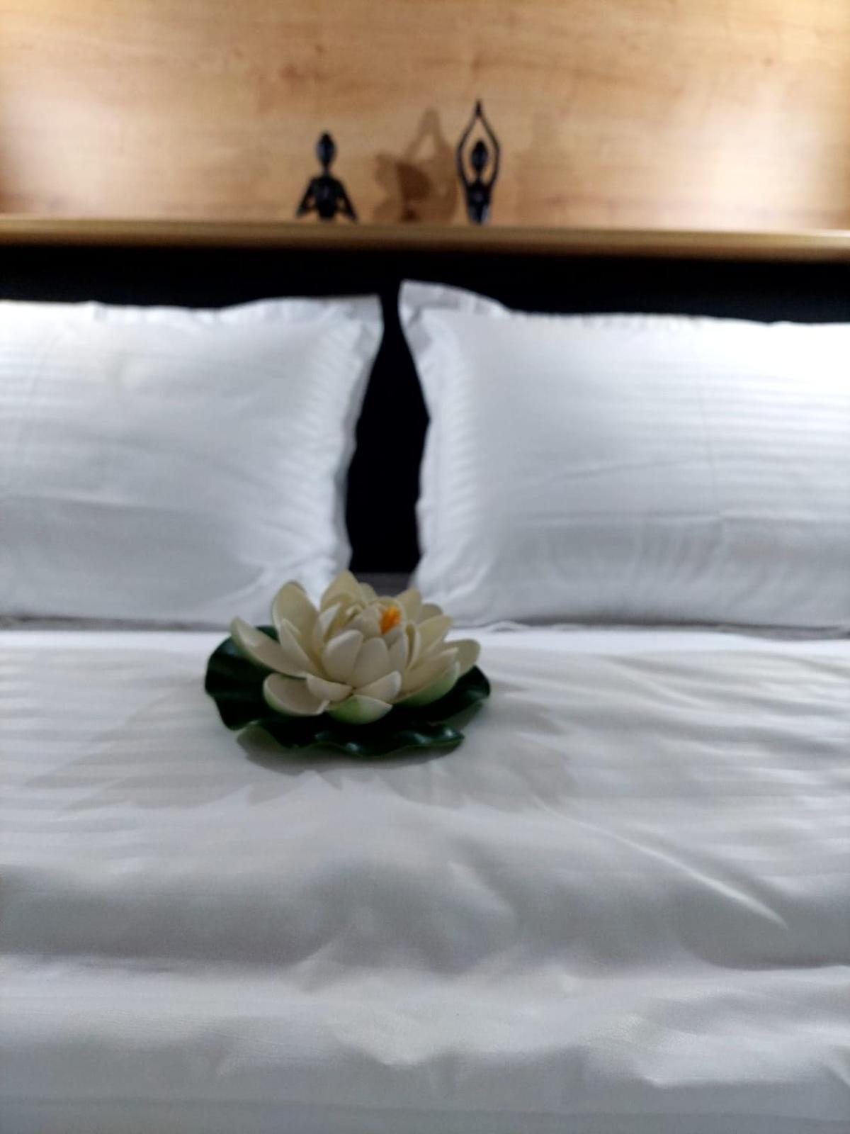 LOTUS Apartman