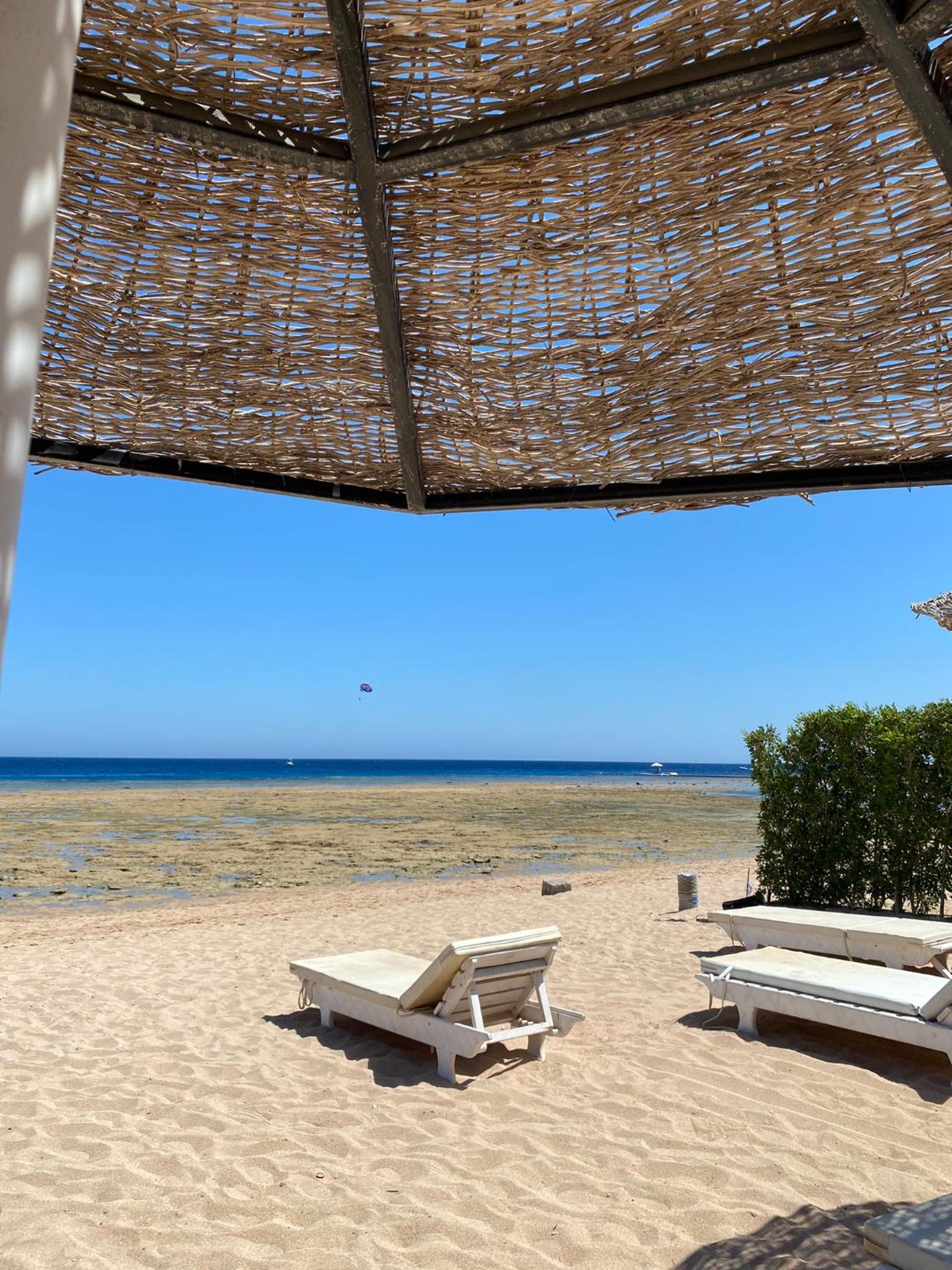 Sunny beach sharm el sheikh